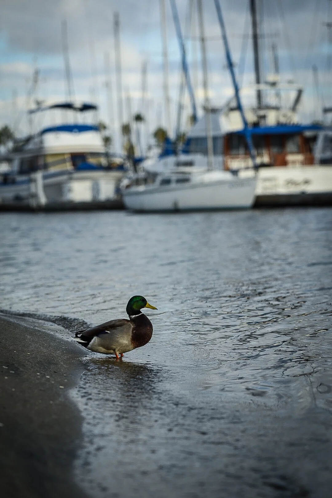 91C3D2BE-EC01-40F8-A560-B836E90B12B4 (1).JPEG