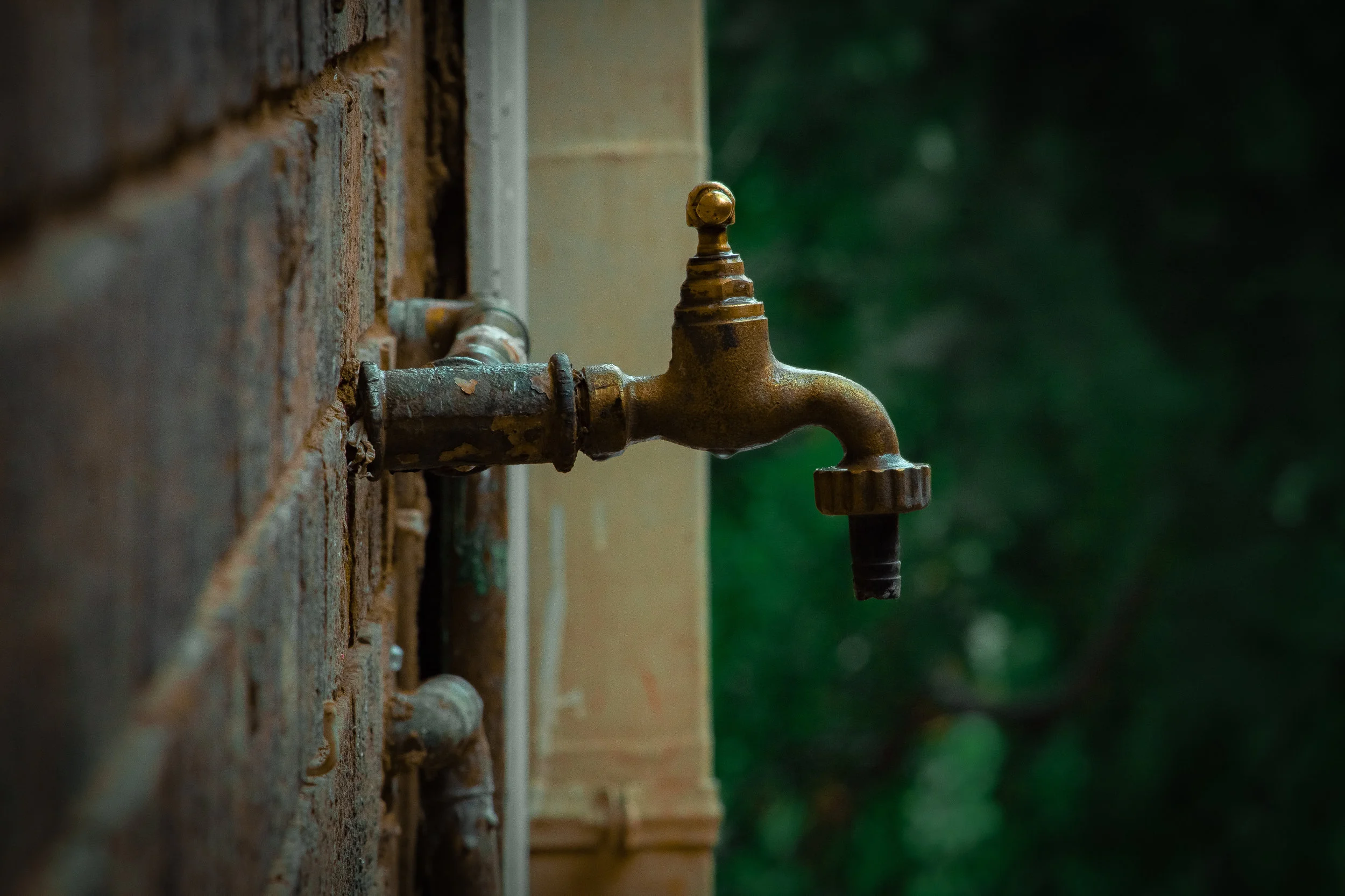 Episode 042: What's in Your Tap Water?