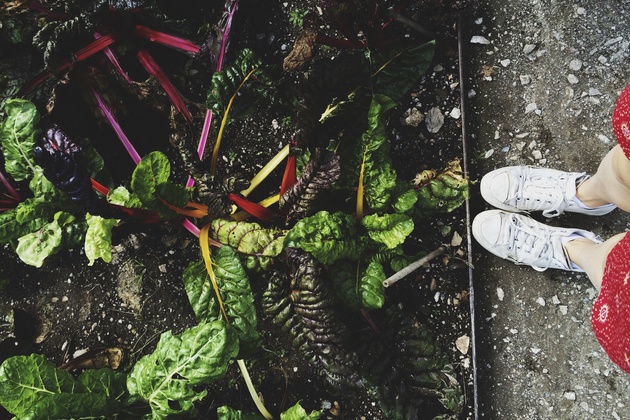 Why 2019 Is The Year To Start Growing Your Own Food 