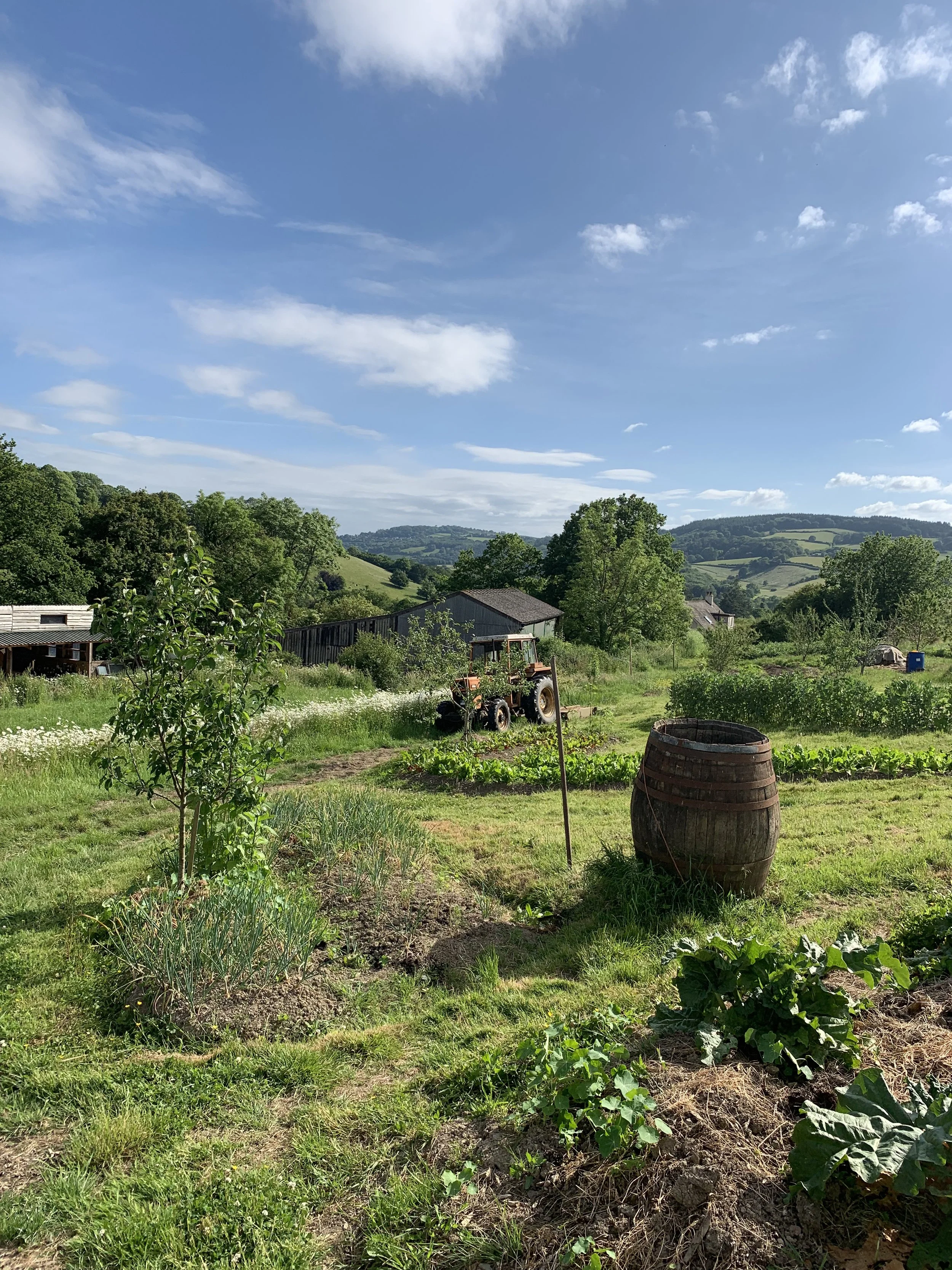 Why I Care About the Future of British Farming (And I Think You Should Too) 