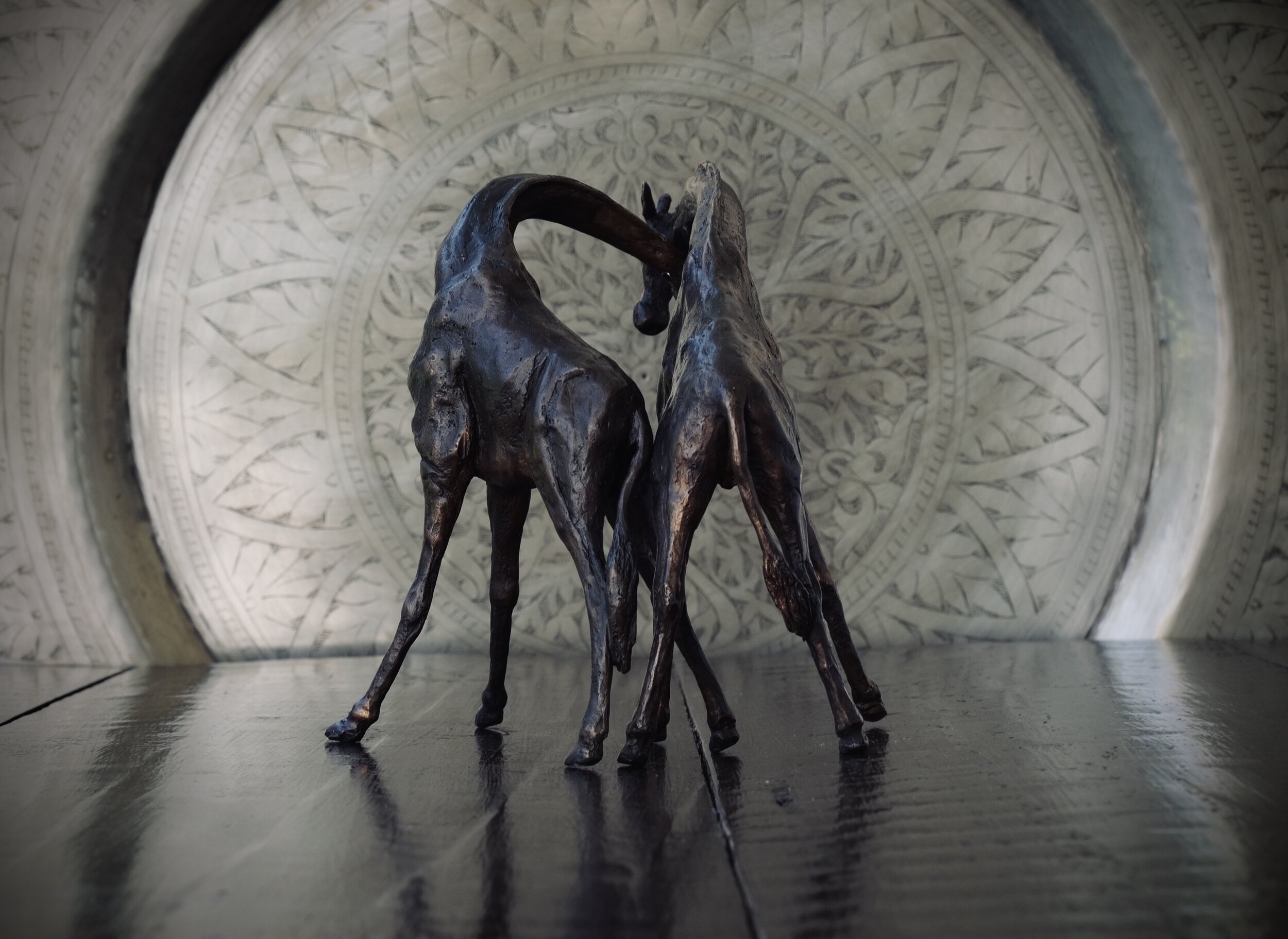D2D1F01E-5665-47F8-A5EB-8A77658FD005.jpeg
