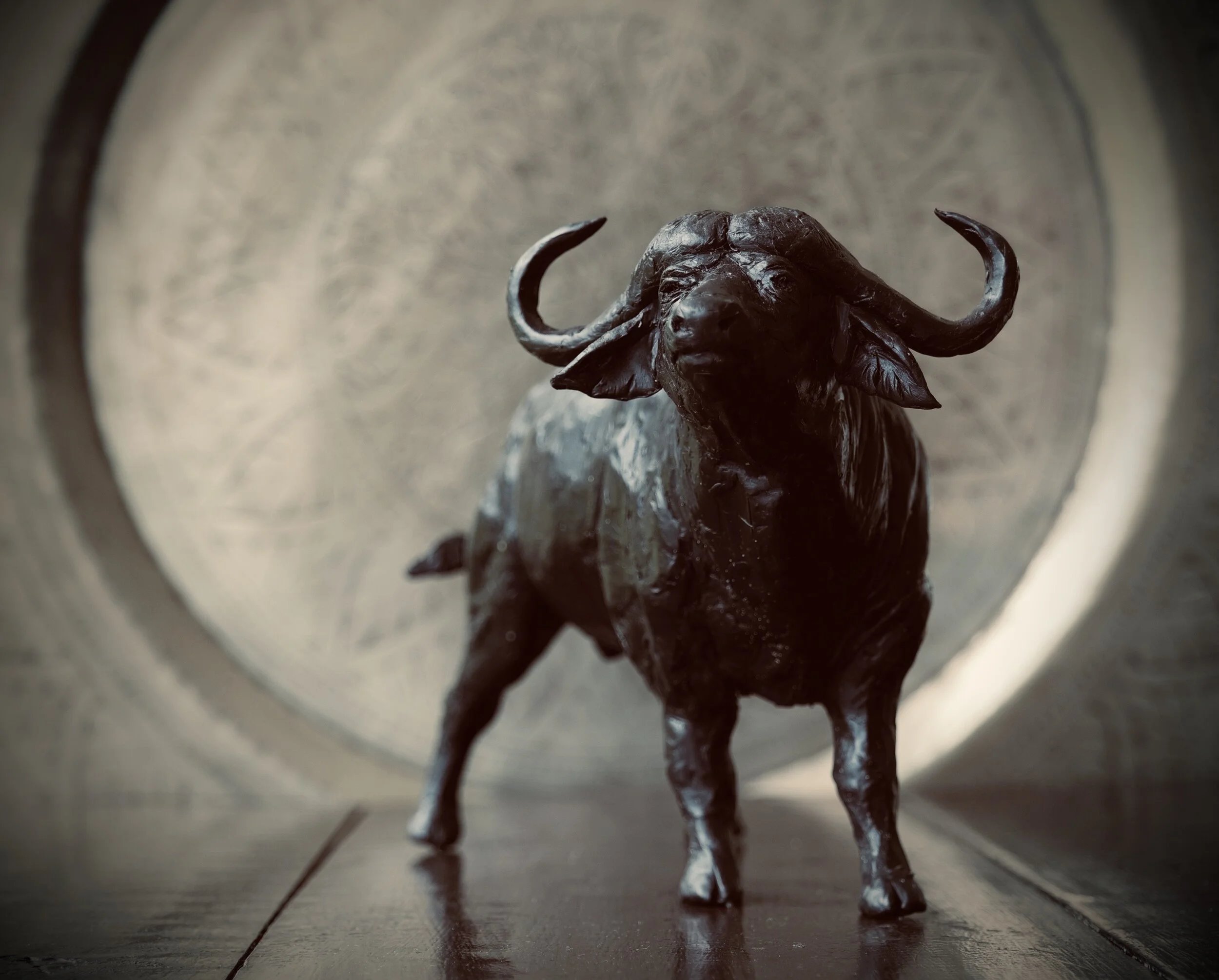 LumixSync_copy_2019-12-31 14:42:04 +0000JpegFile.JPG