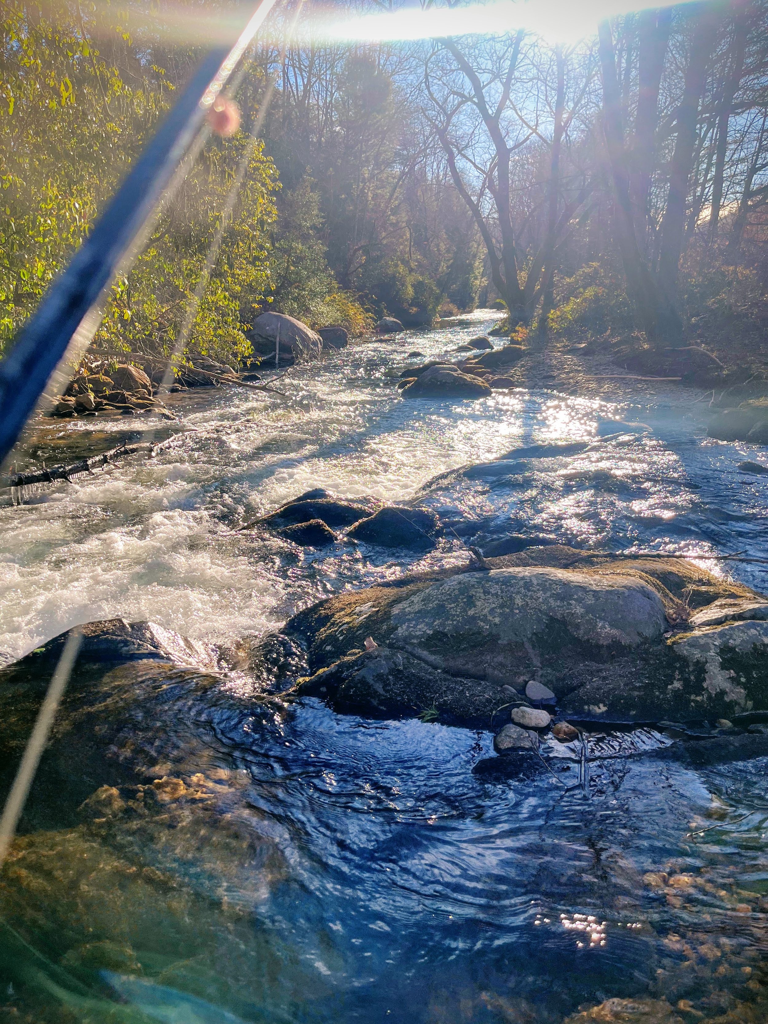 A rocky creek with clear flowing water and trees on both sides, sunlight shining through the branches, creating a scenic outdoor landscape.