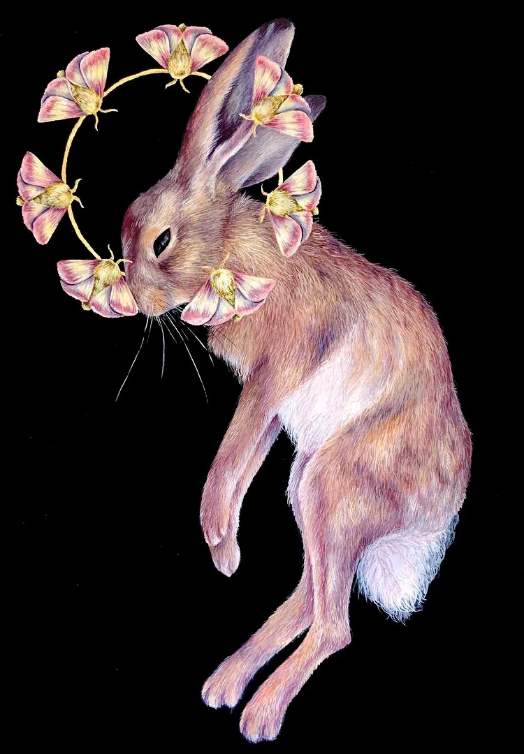preyrabbit.jpg
