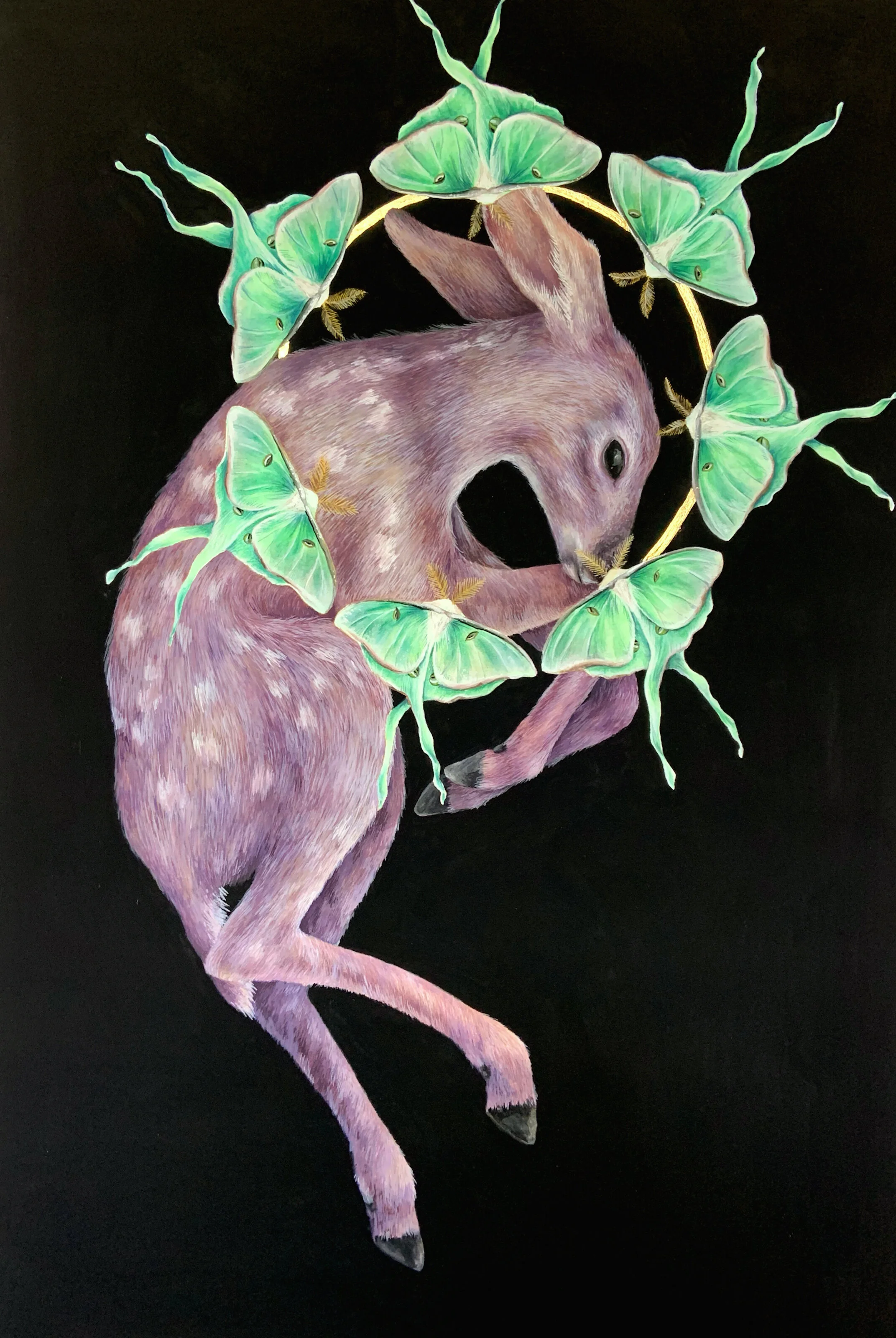 fawn.jpg