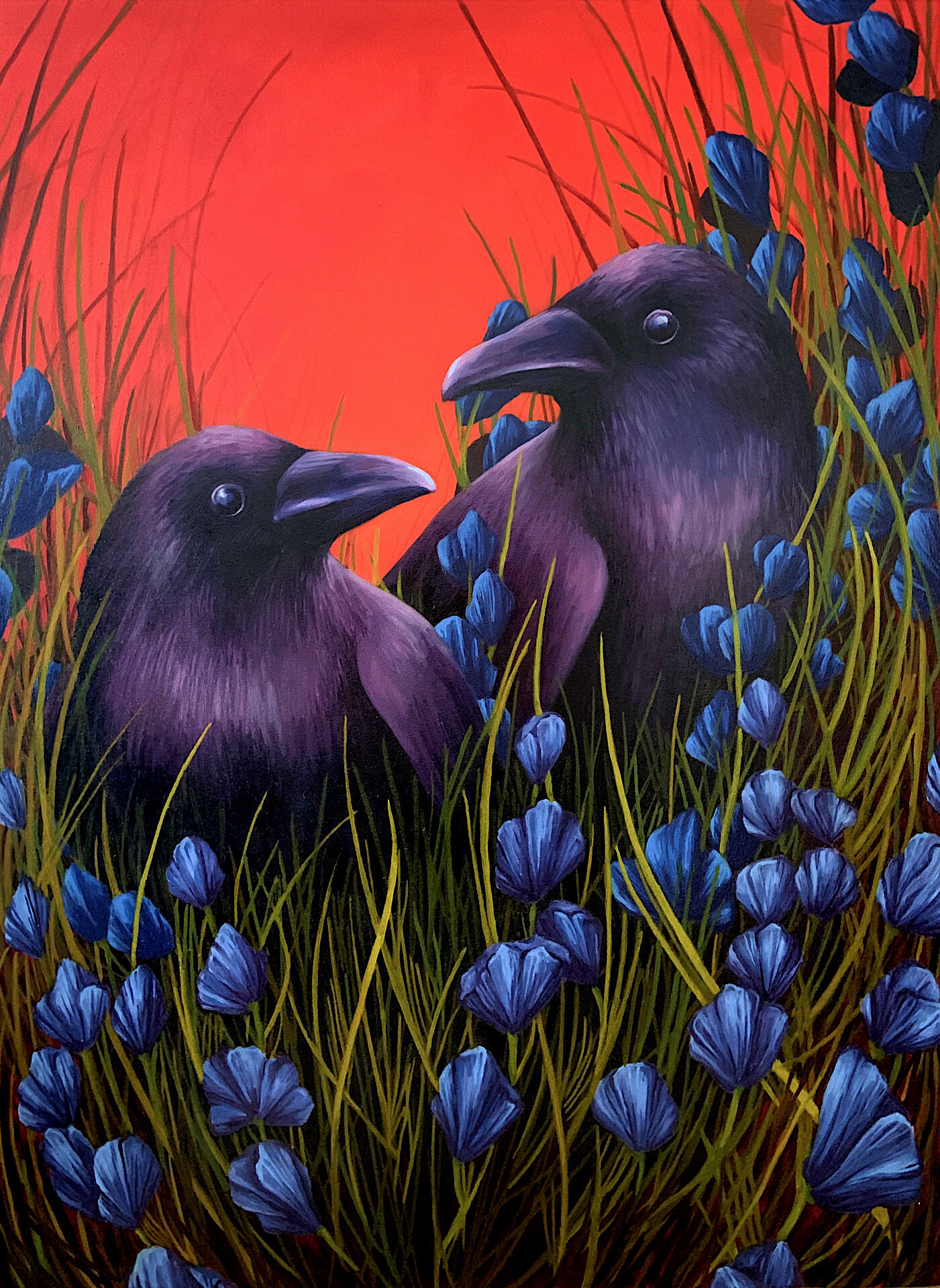crows.jpg