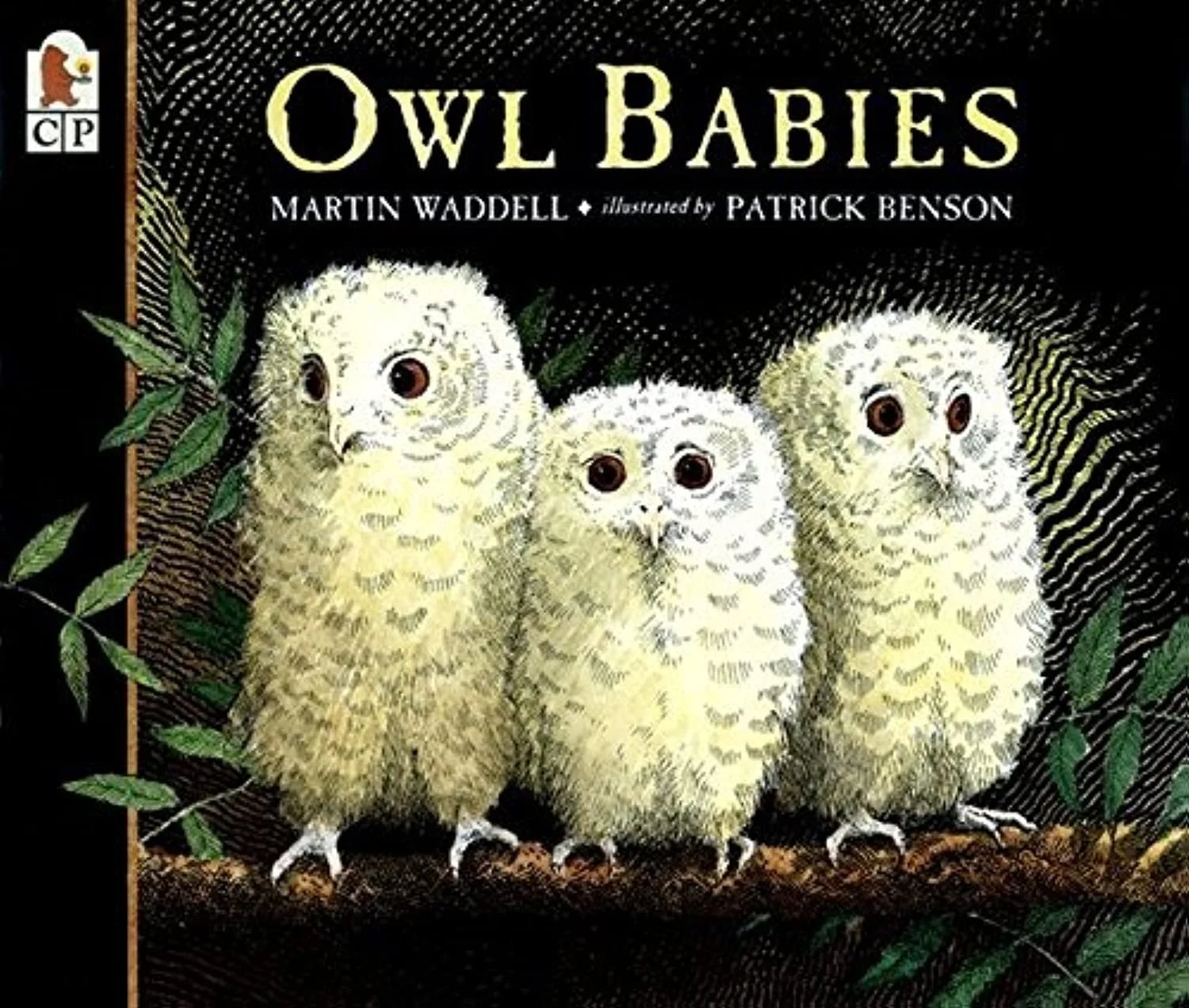owls.jpg