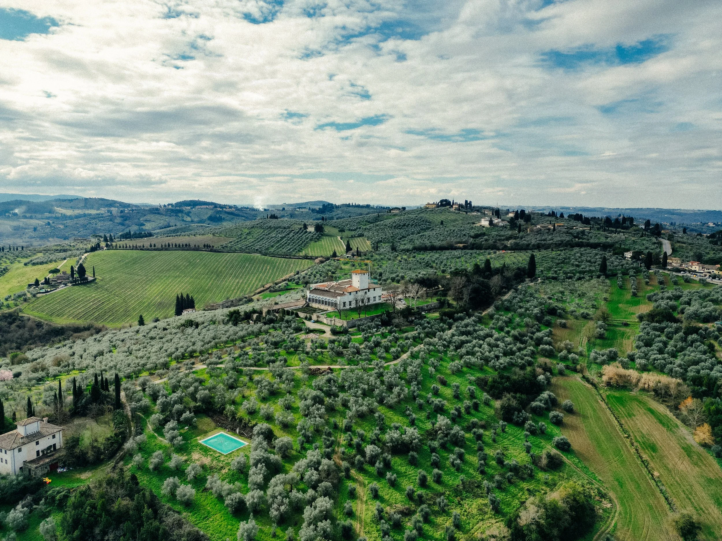 Scenic view of rolling green hills with vineyards, trees, and houses in the Italian countryside under a partly cloudy sky.