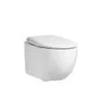 Roper Rhodes Wall Hung WC Pack (1m,COAST) - Brushed brass fittings