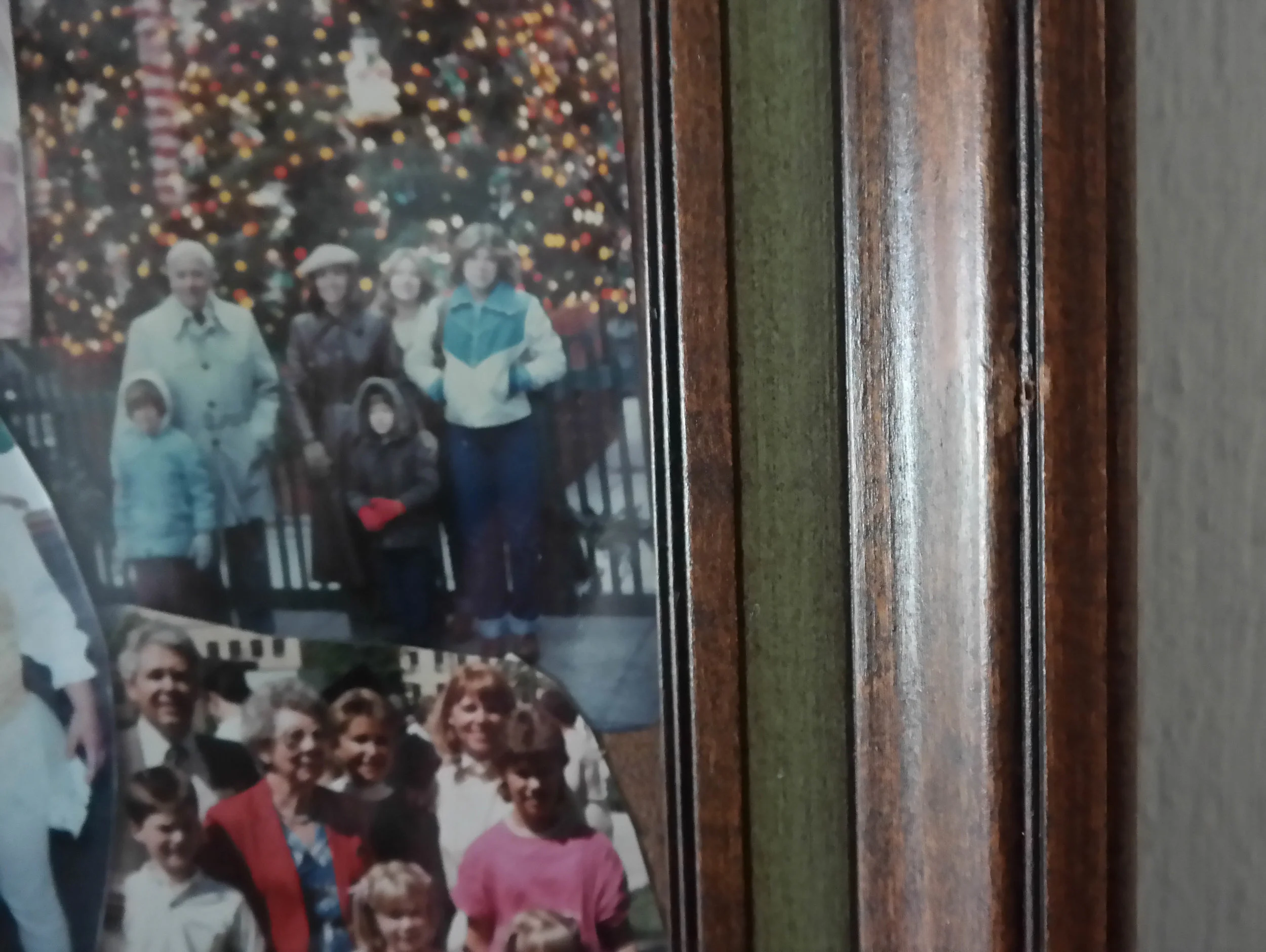 Fragment Final Familly Portrait.jpg