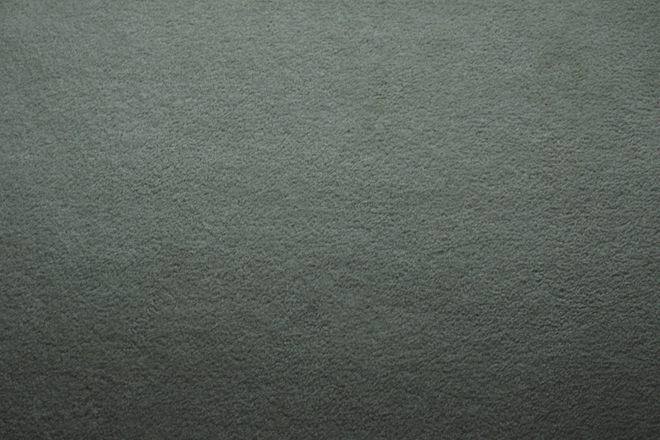close up texture.jpg