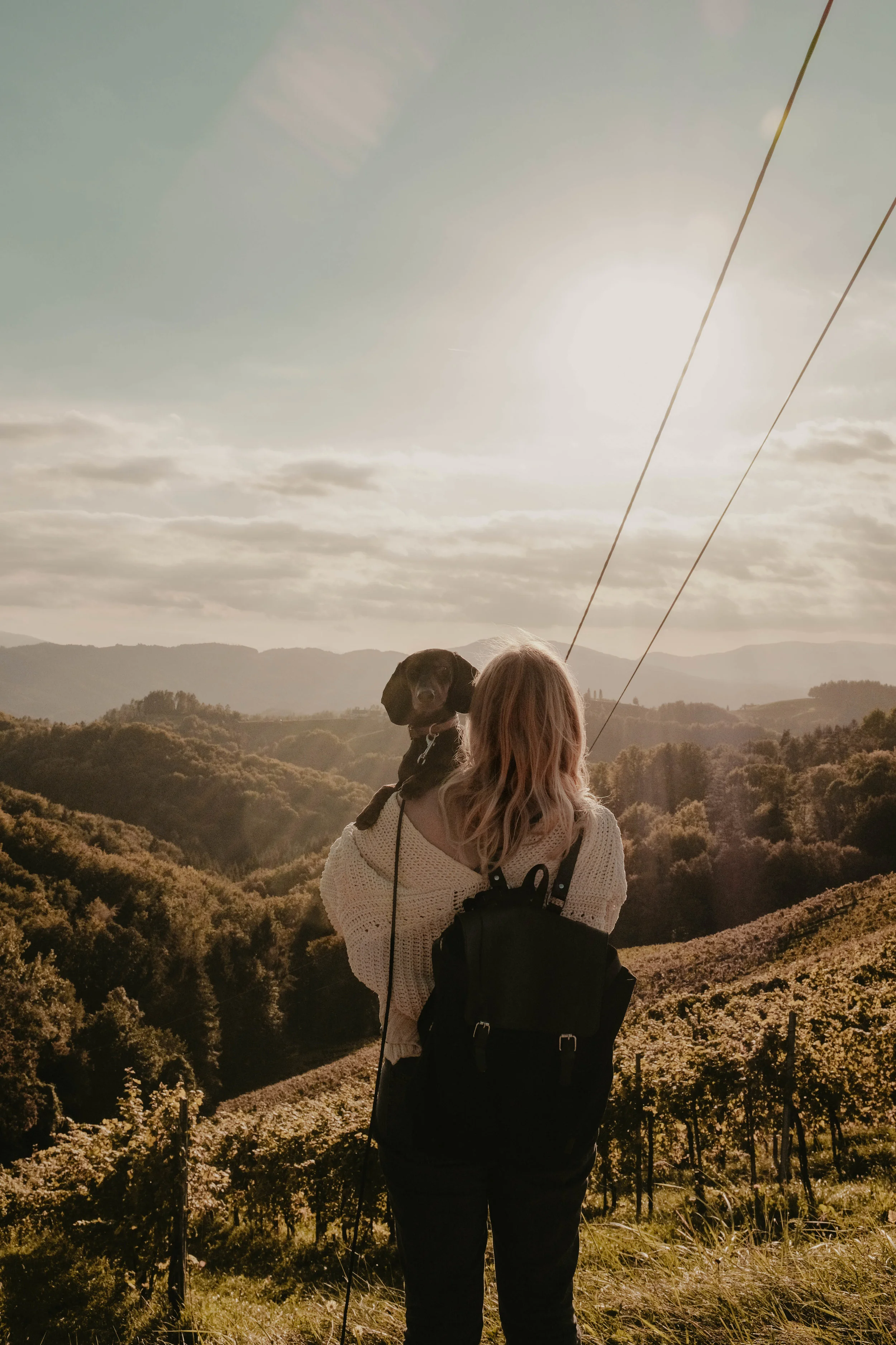 PRESET: AUTUMN TONES / LAST CHANCE!