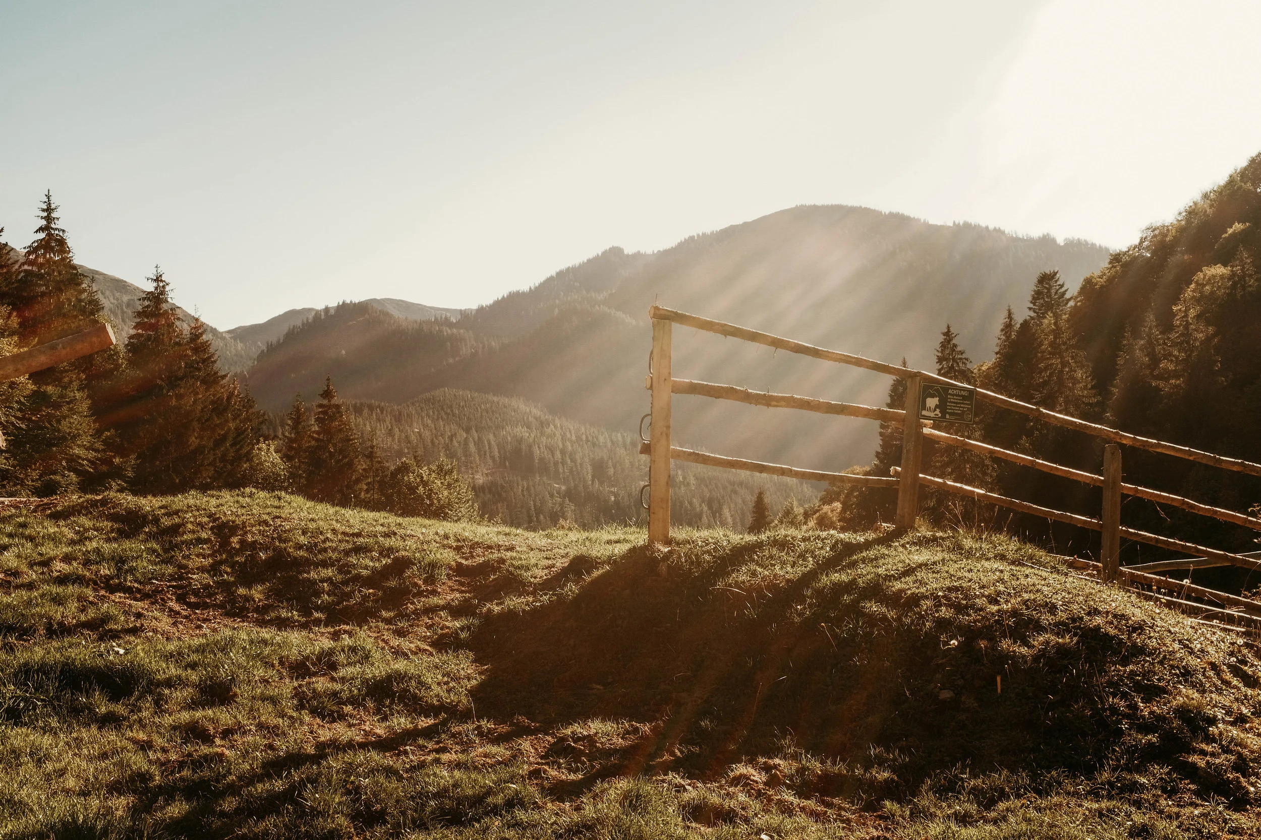 FREEBIE: AUTUMN PRESET TEST 