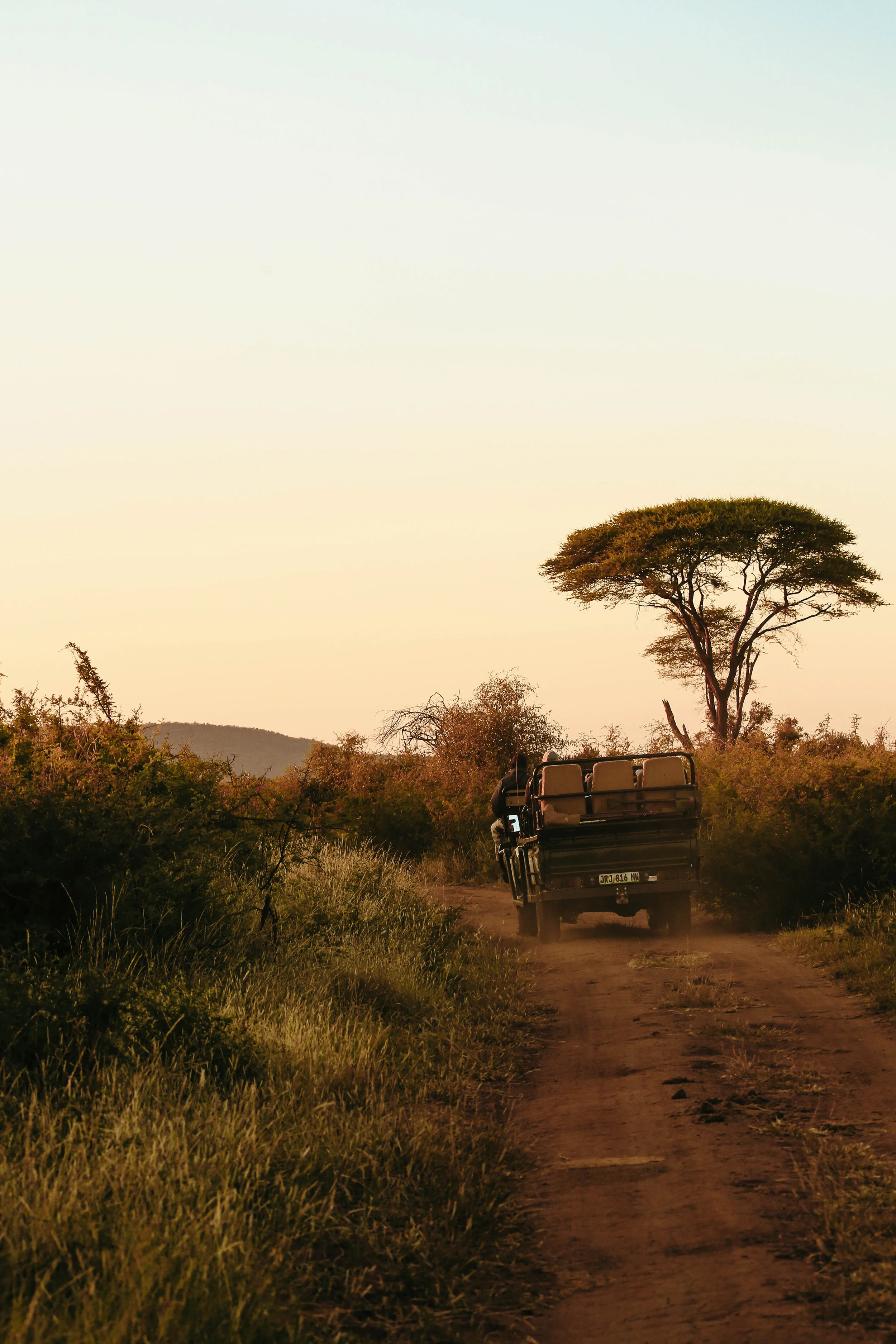 madikwe_prints-4030.jpg