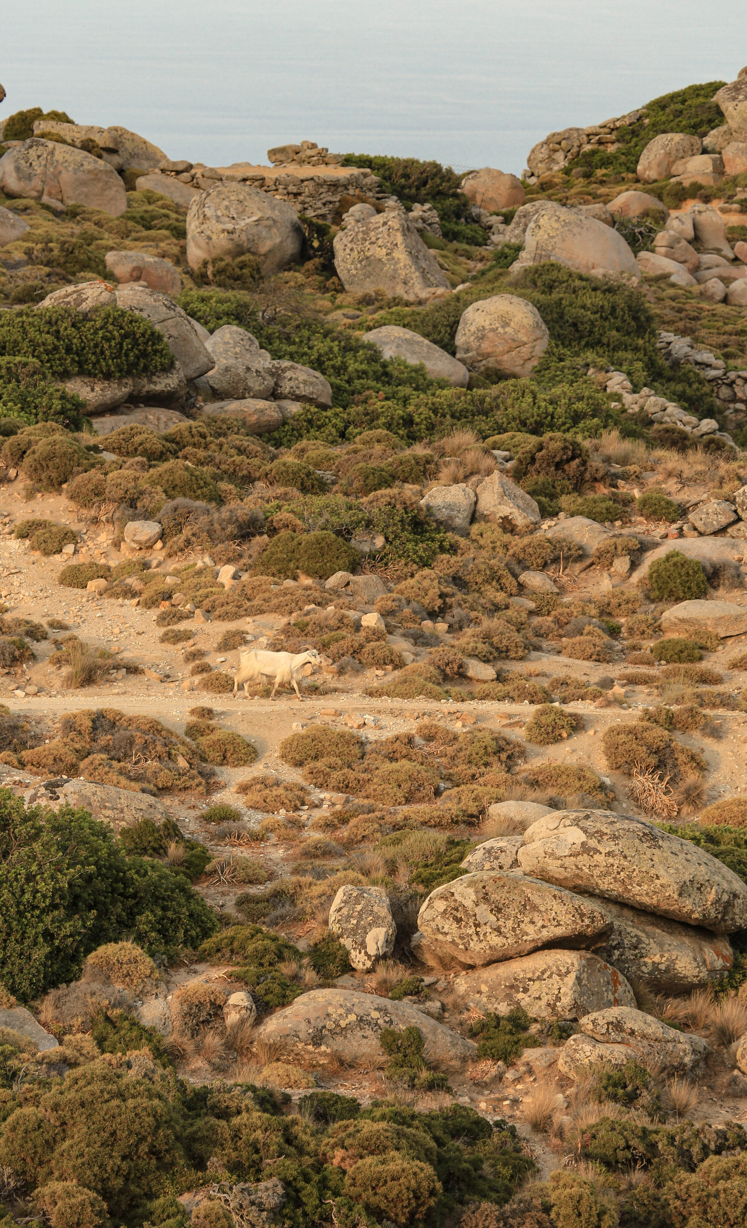 greece_presets-2-2.jpg