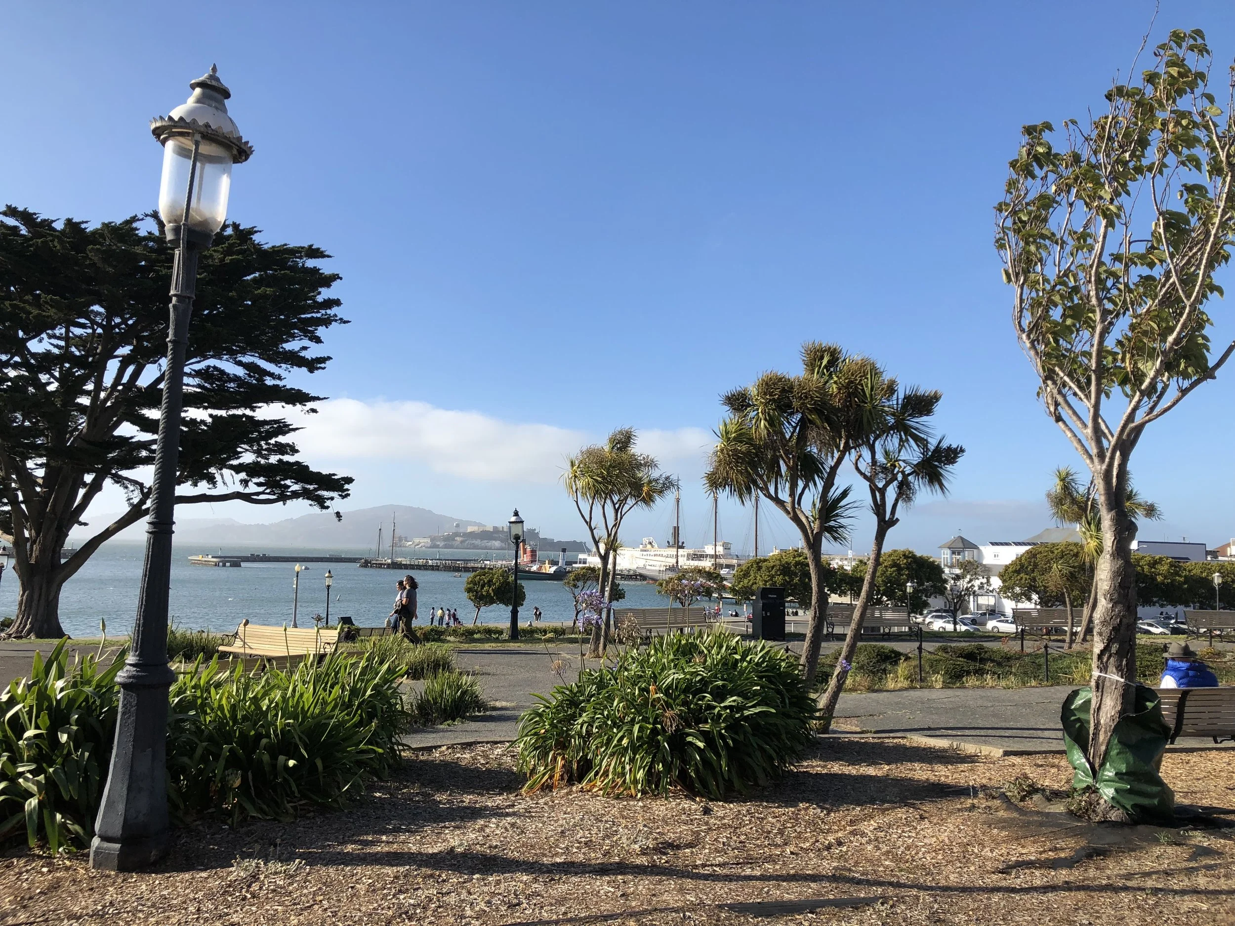 IMG_0822.jpeg
