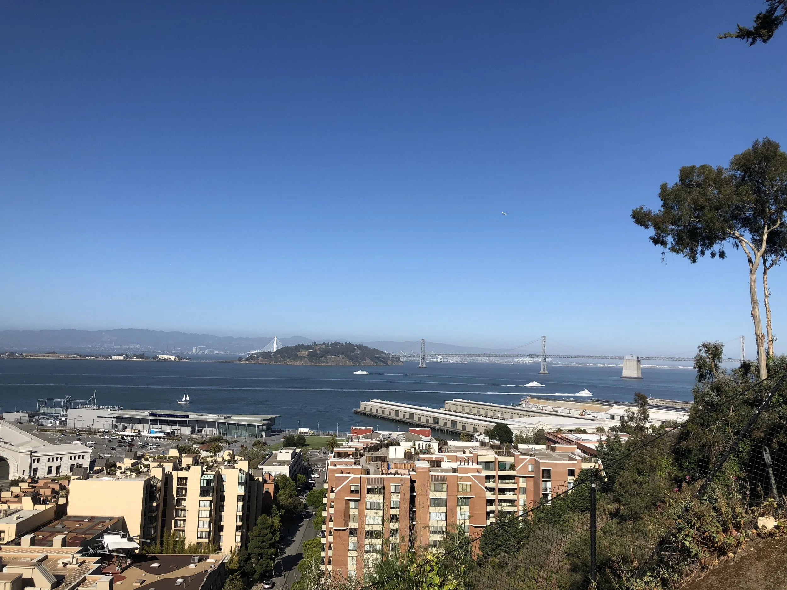 IMG_0773.jpeg