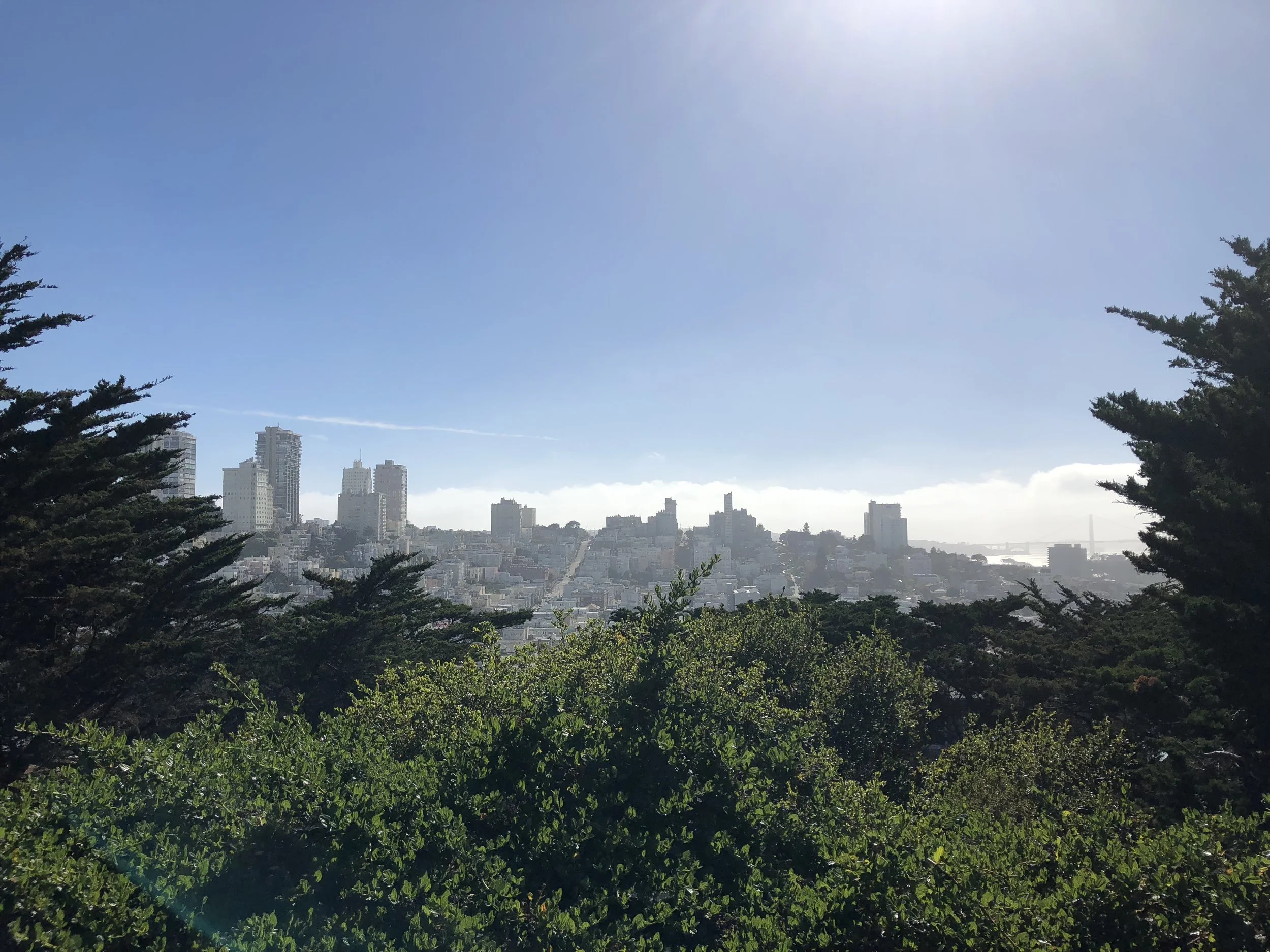 IMG_0769.jpeg