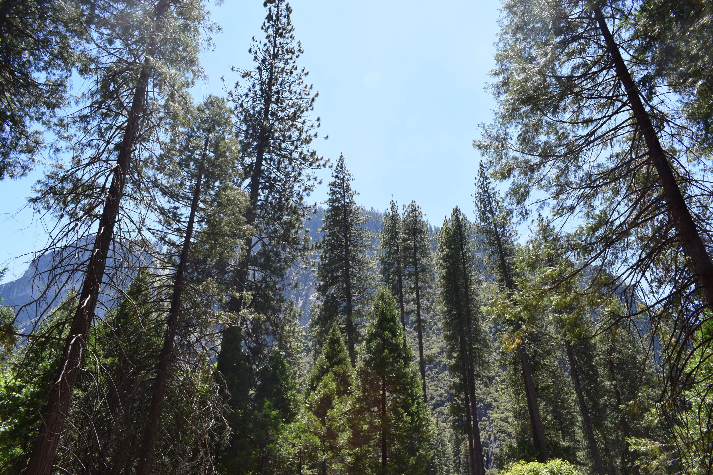 DSC_0010.JPG
