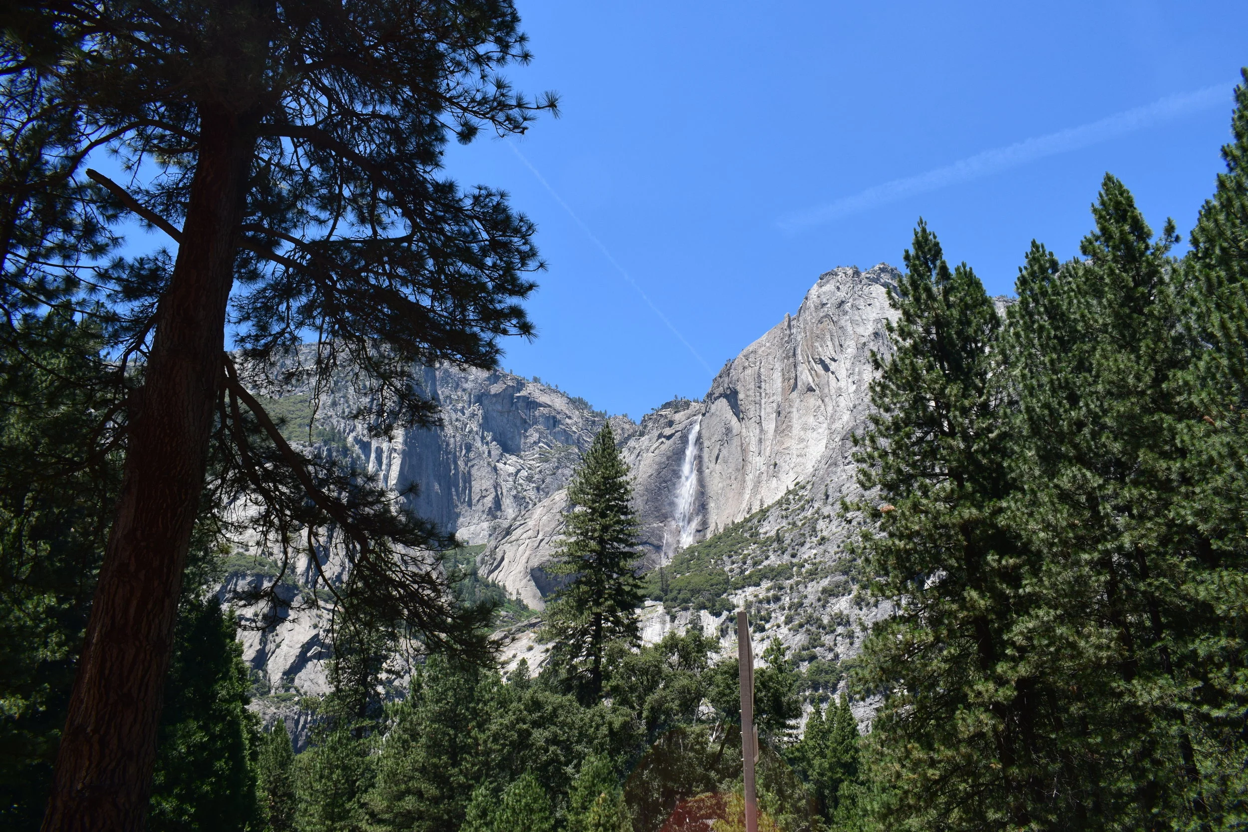 DSC_0014.JPG