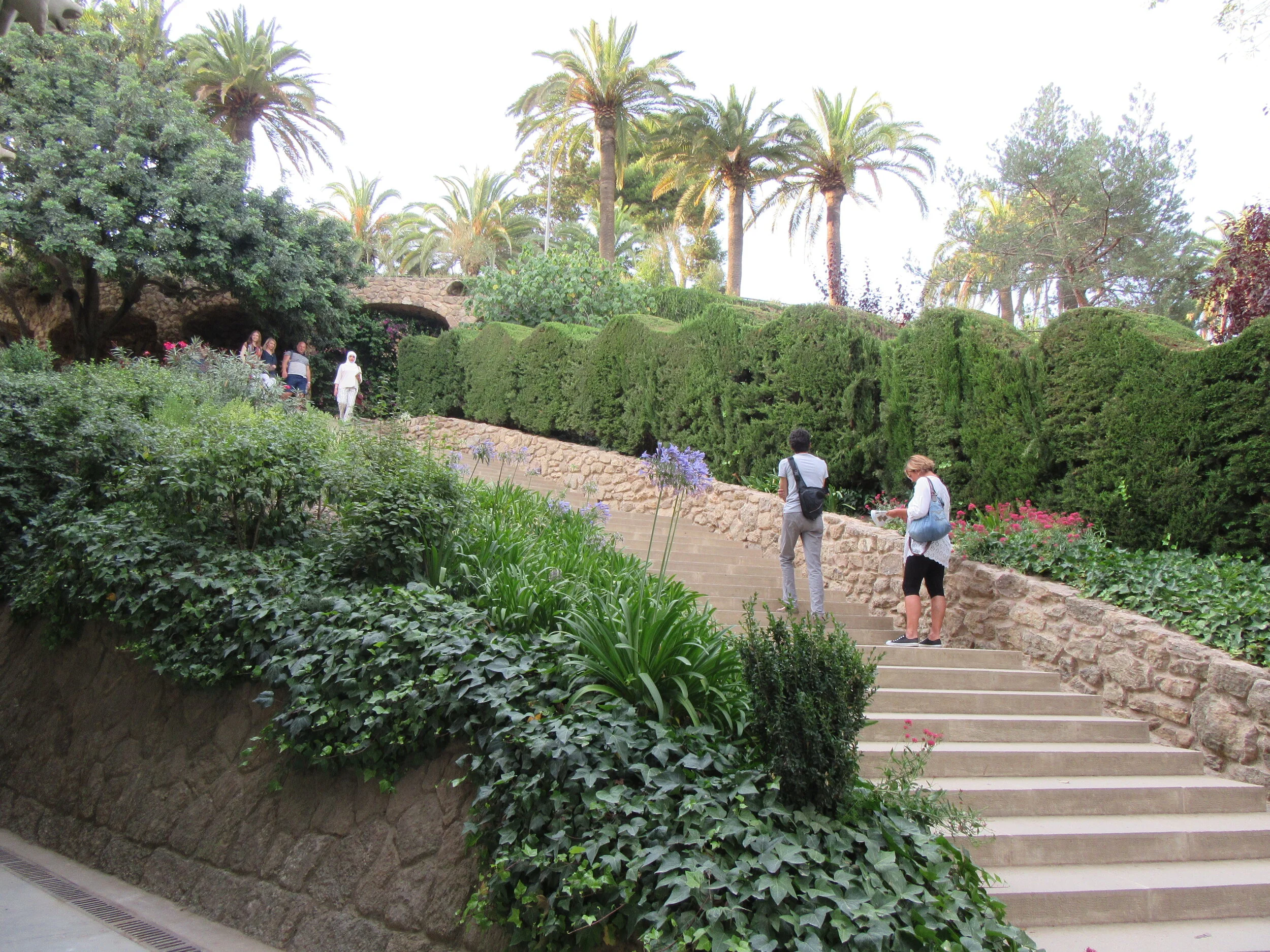 IMG_2643.JPG