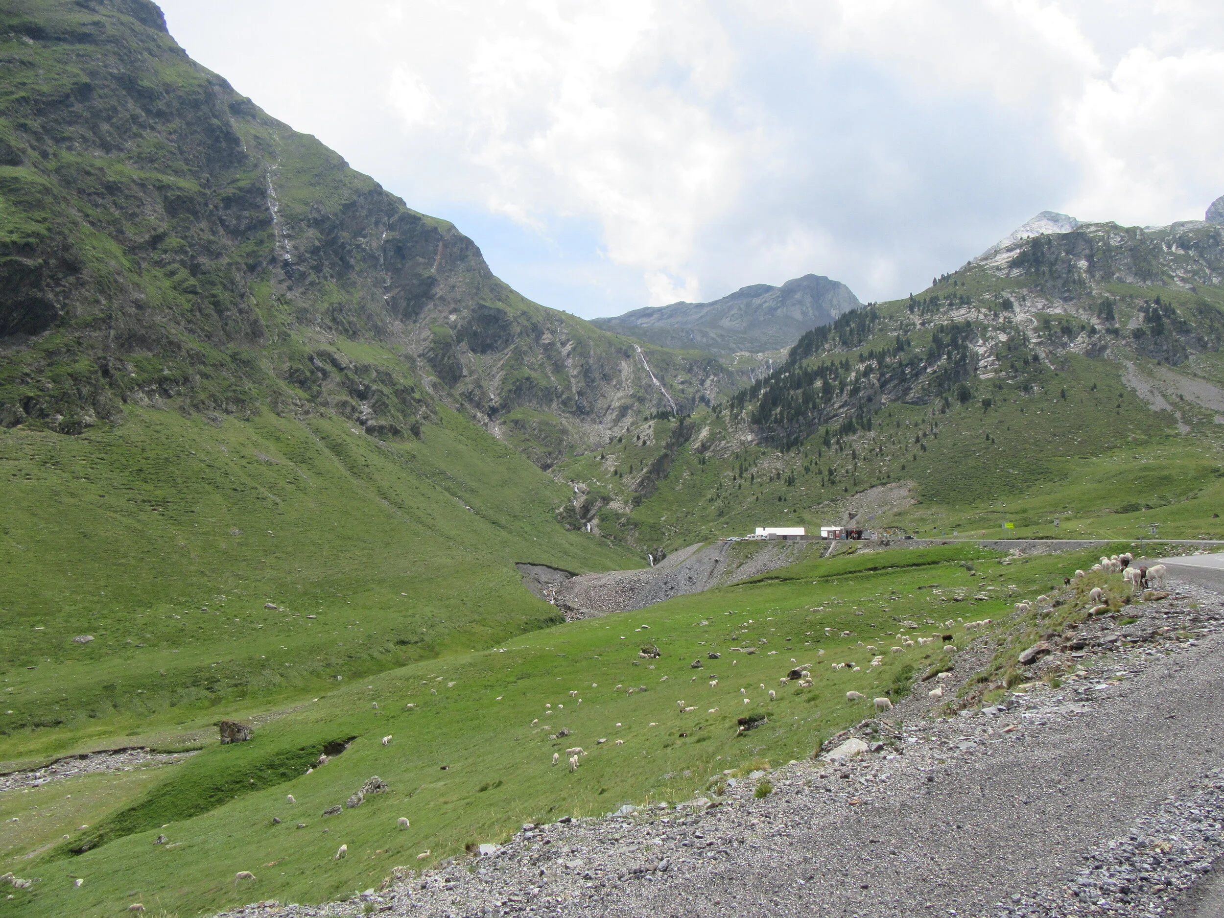 IMG_2684.JPG