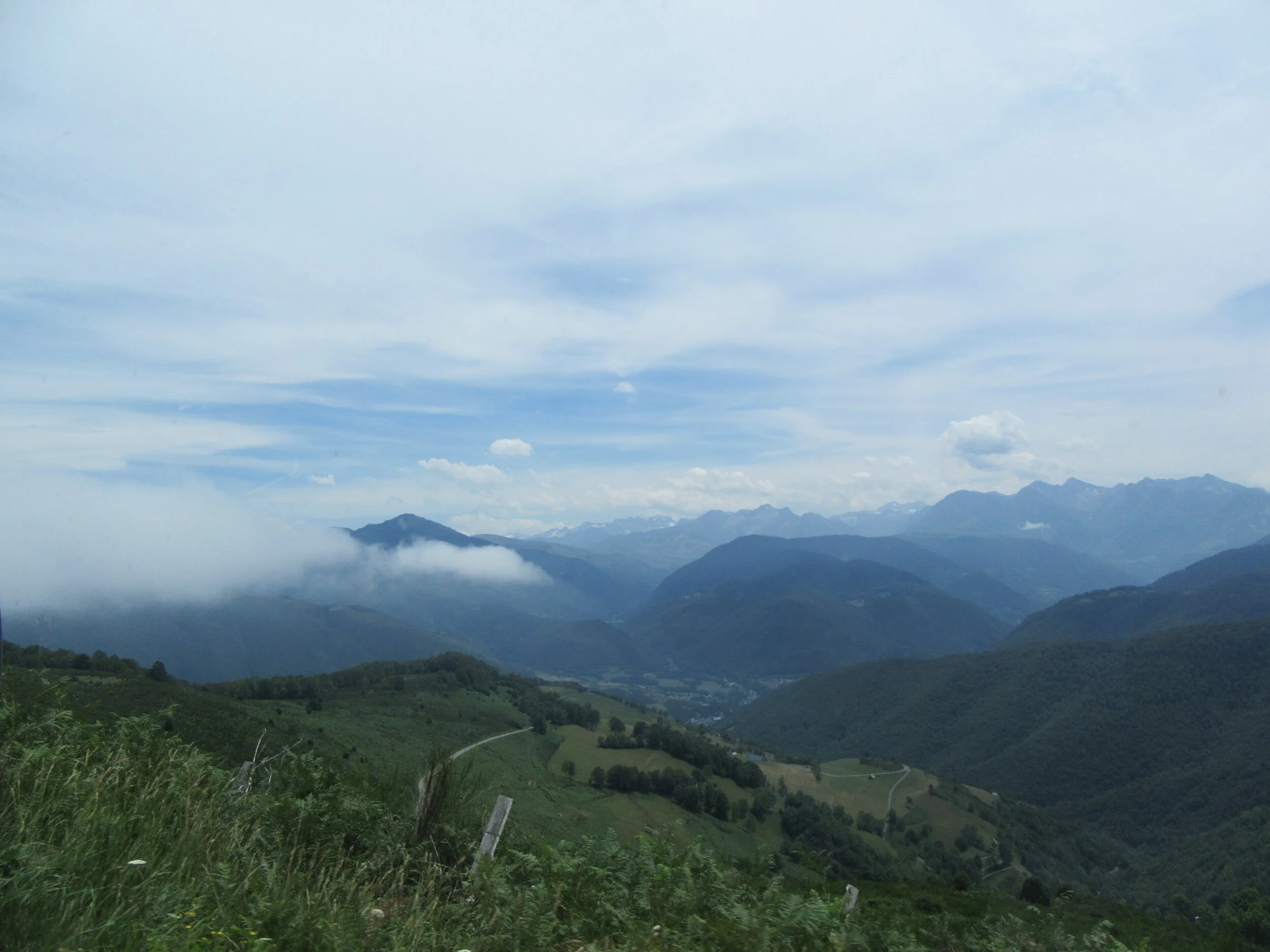IMG_2705.JPG
