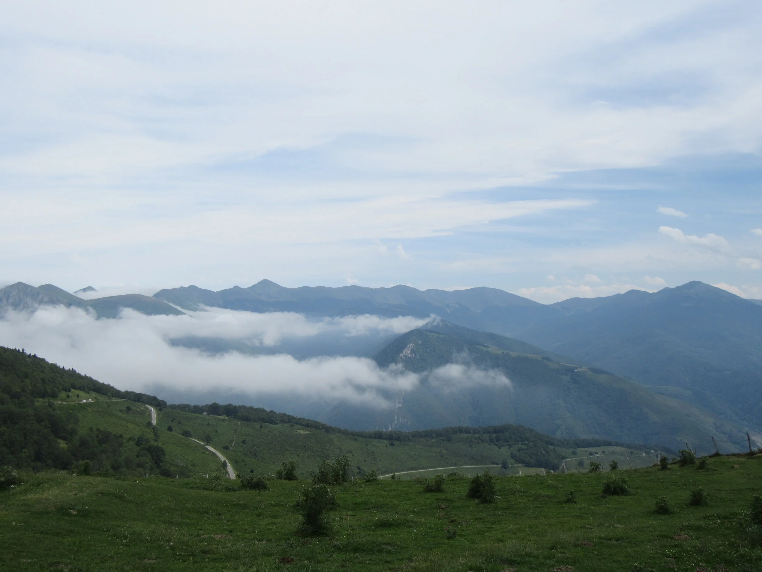 IMG_2712.JPG