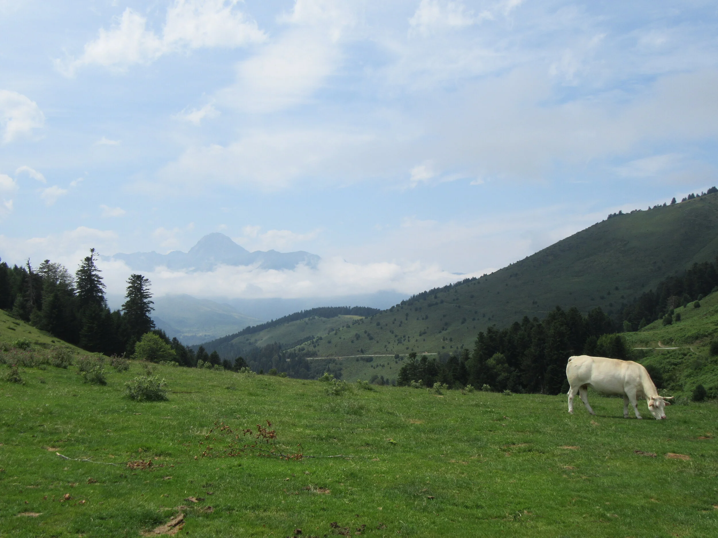 IMG_2725.JPG