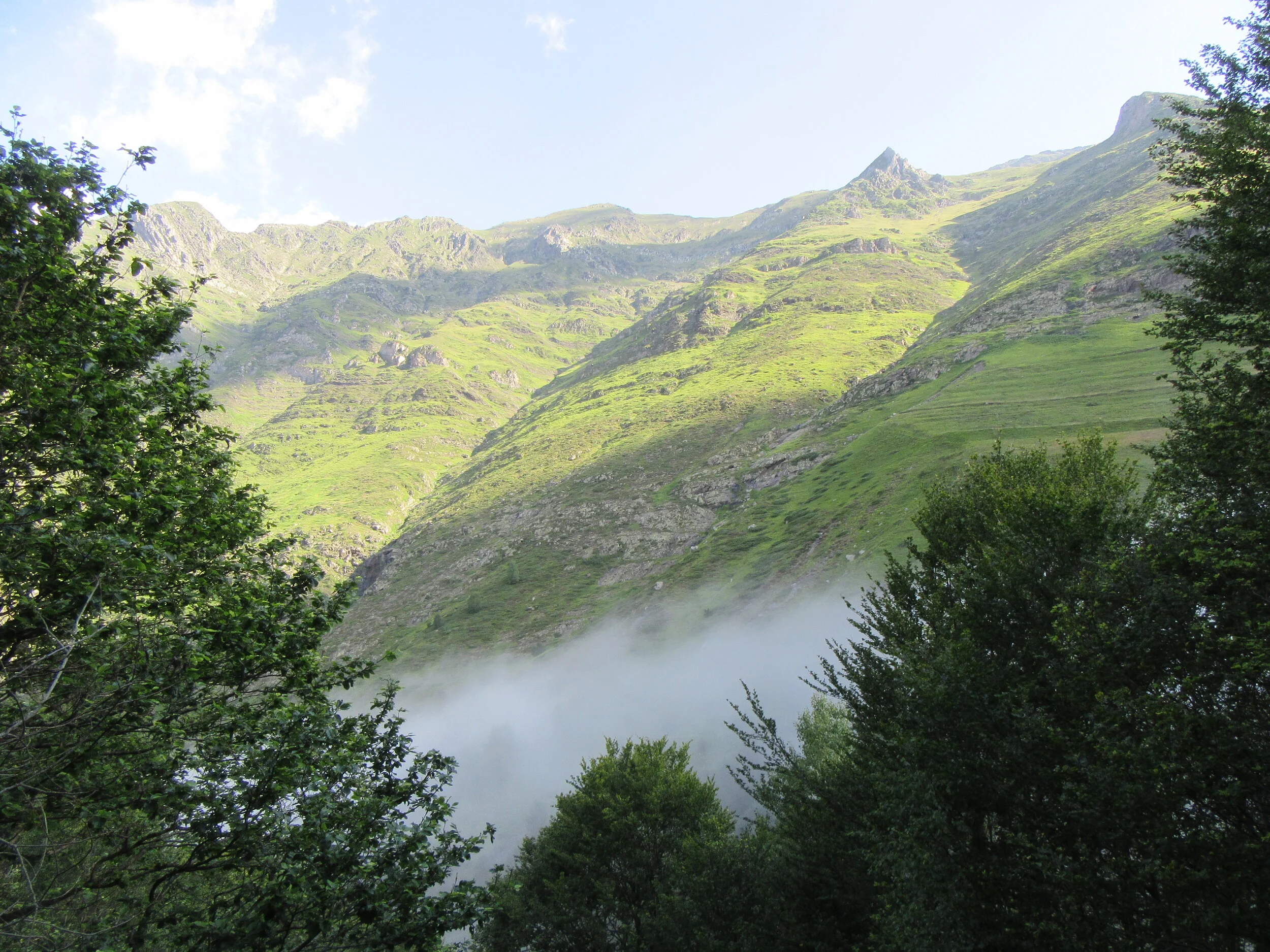 IMG_2799.JPG