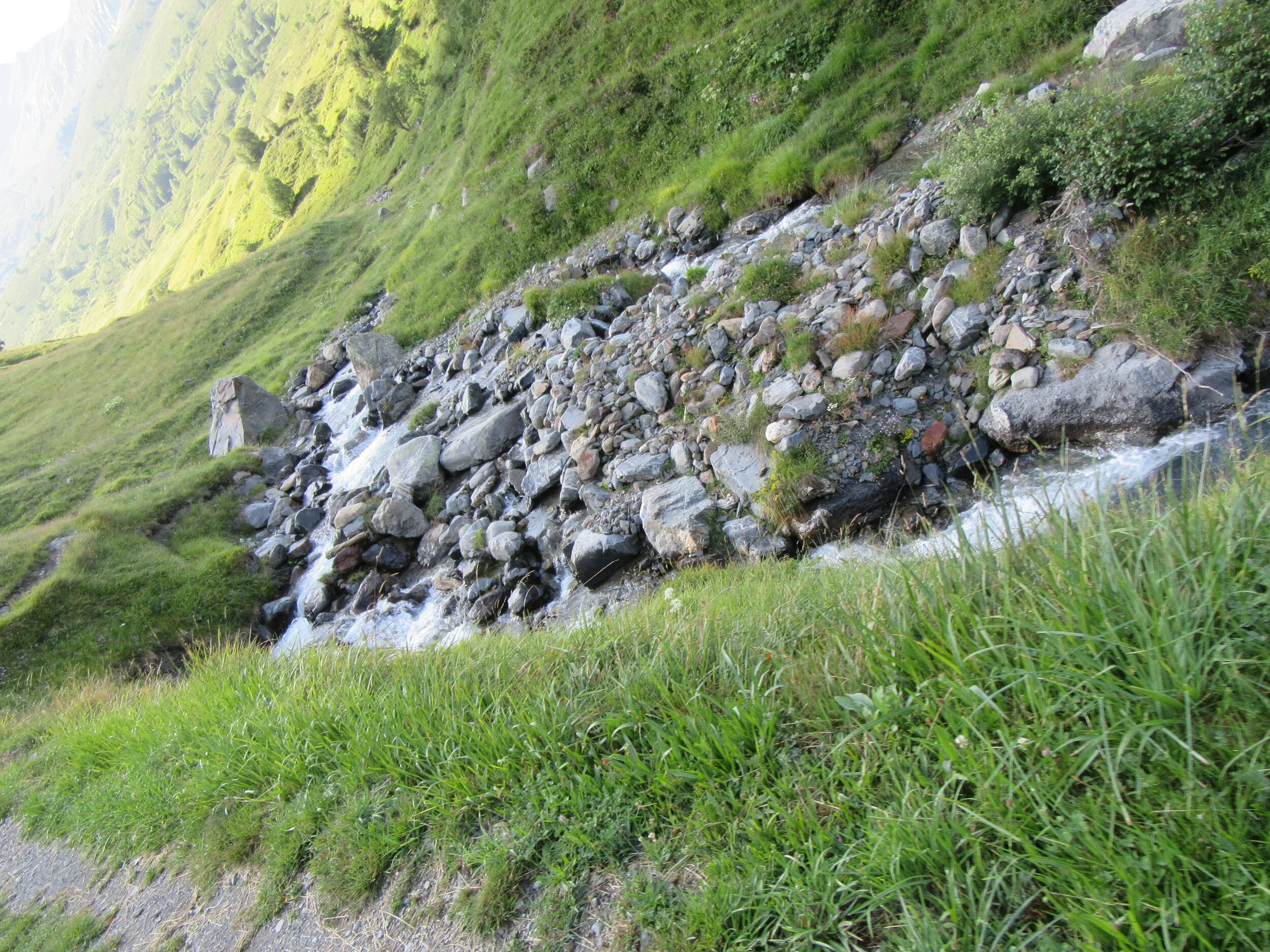 IMG_2811.JPG