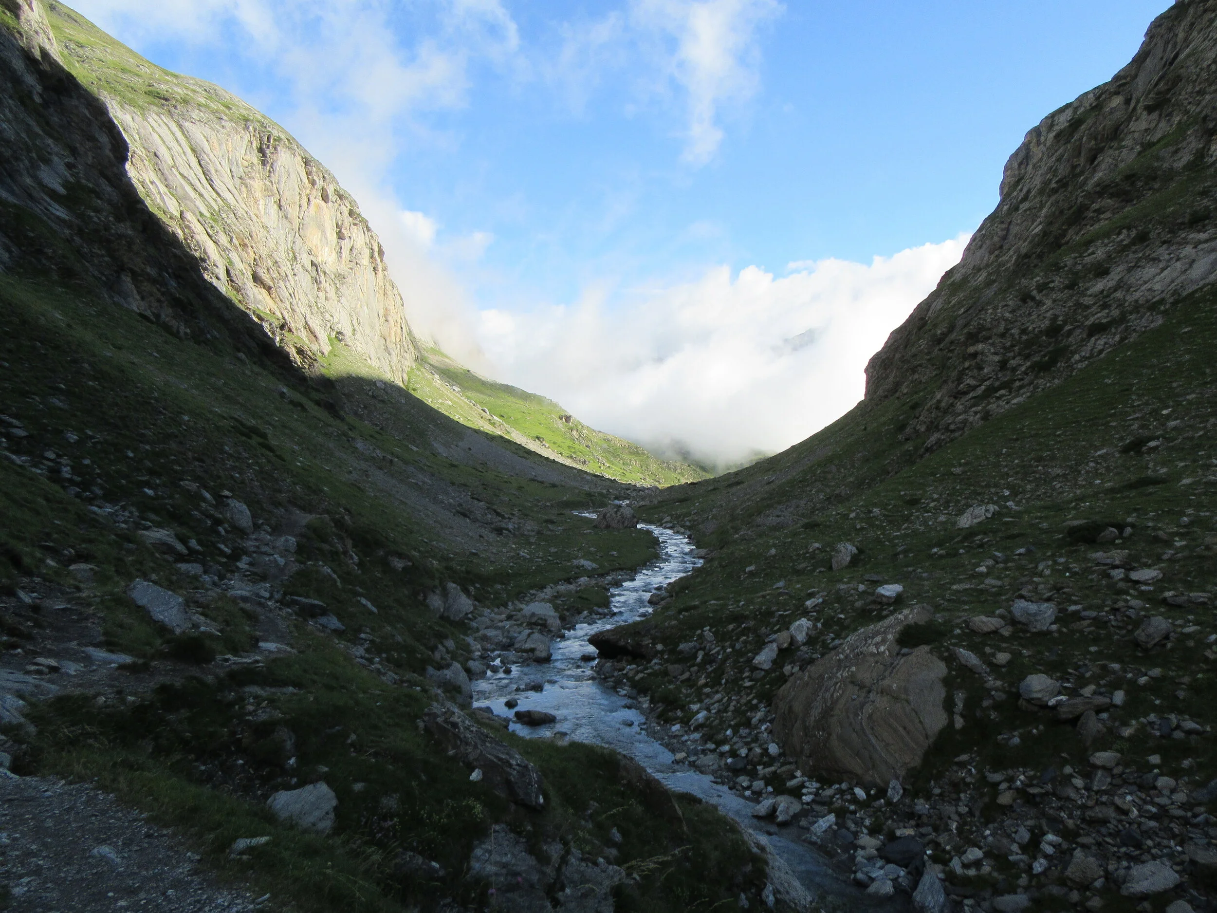 IMG_2896.JPG