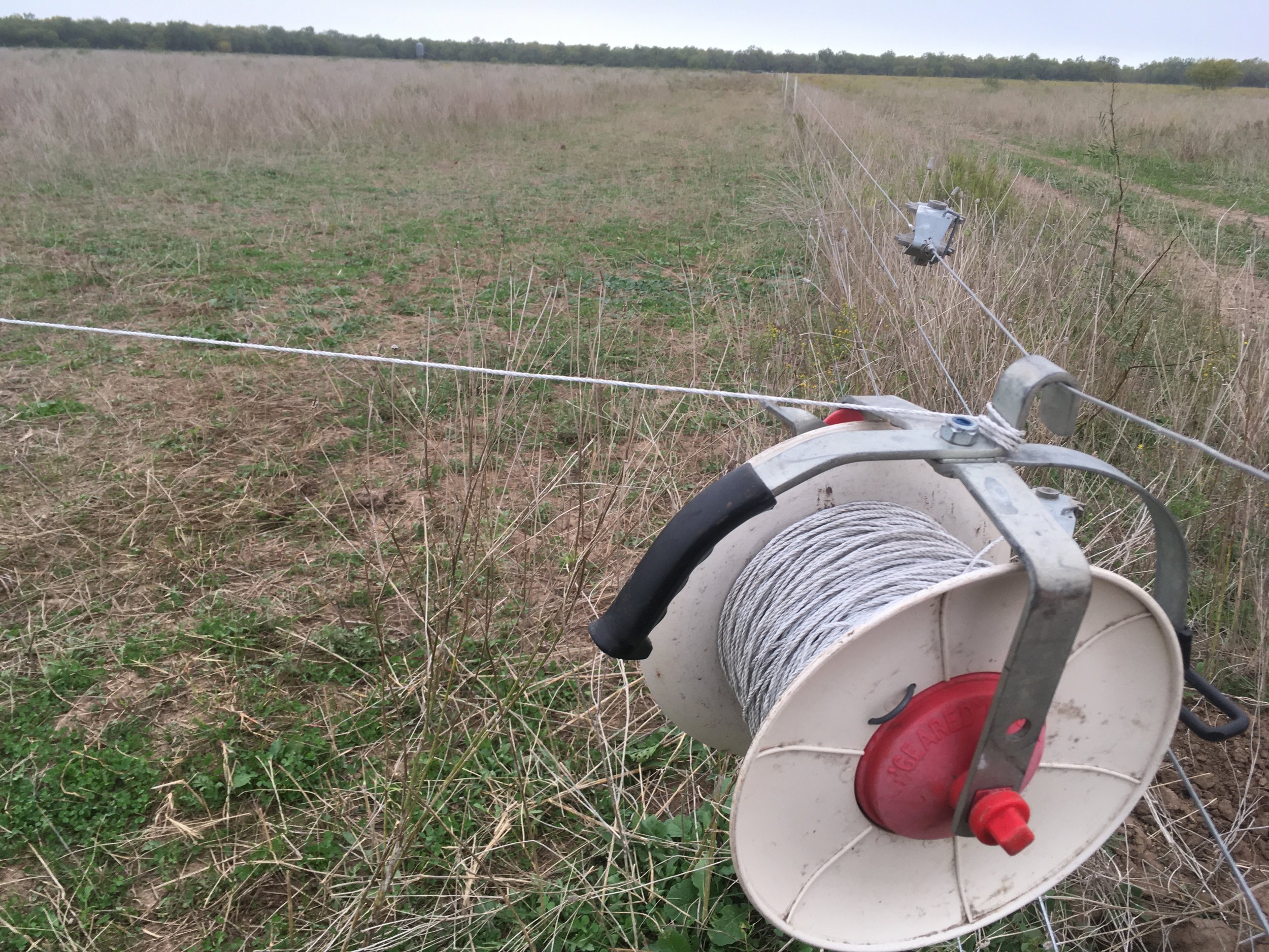 Small Electric Fencing Reel 