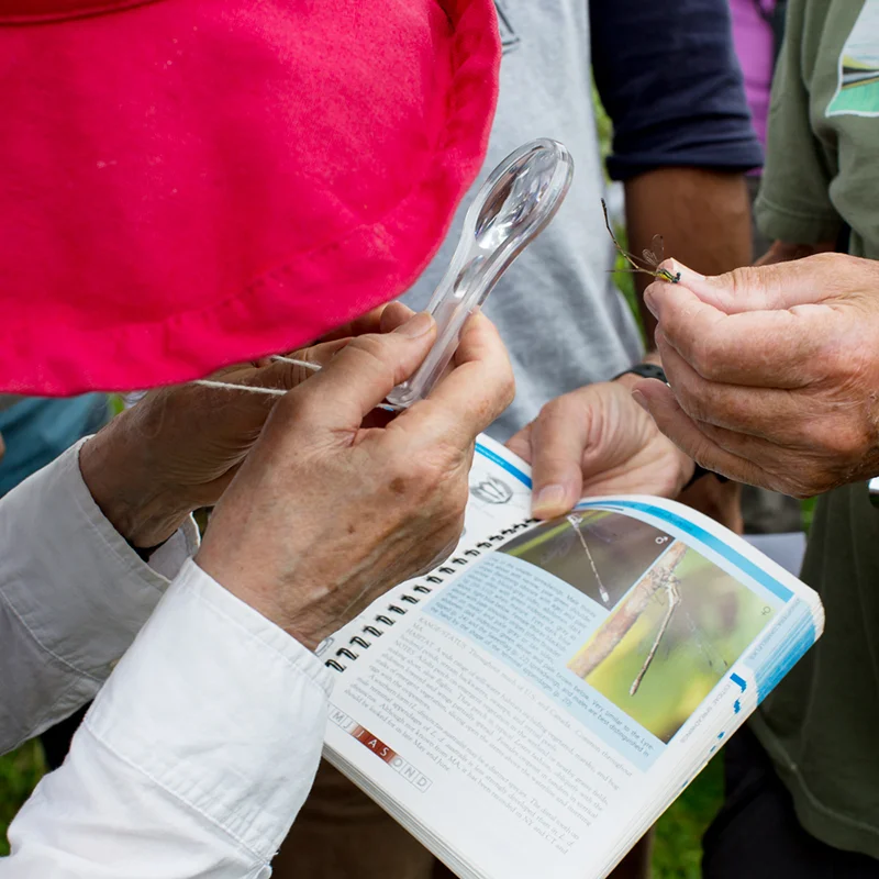 BioBlitz2017-65.jpg