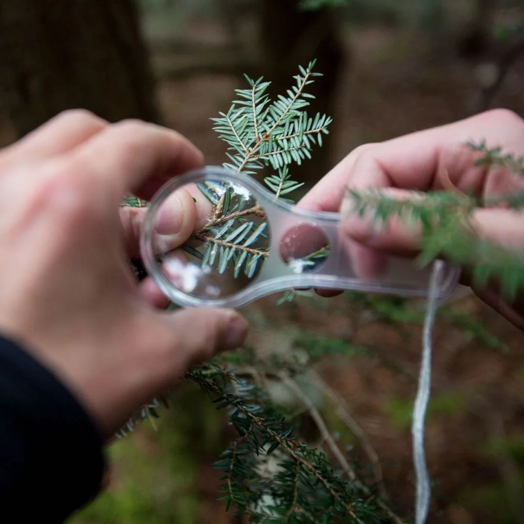 Invasive Species Identification and Reporting