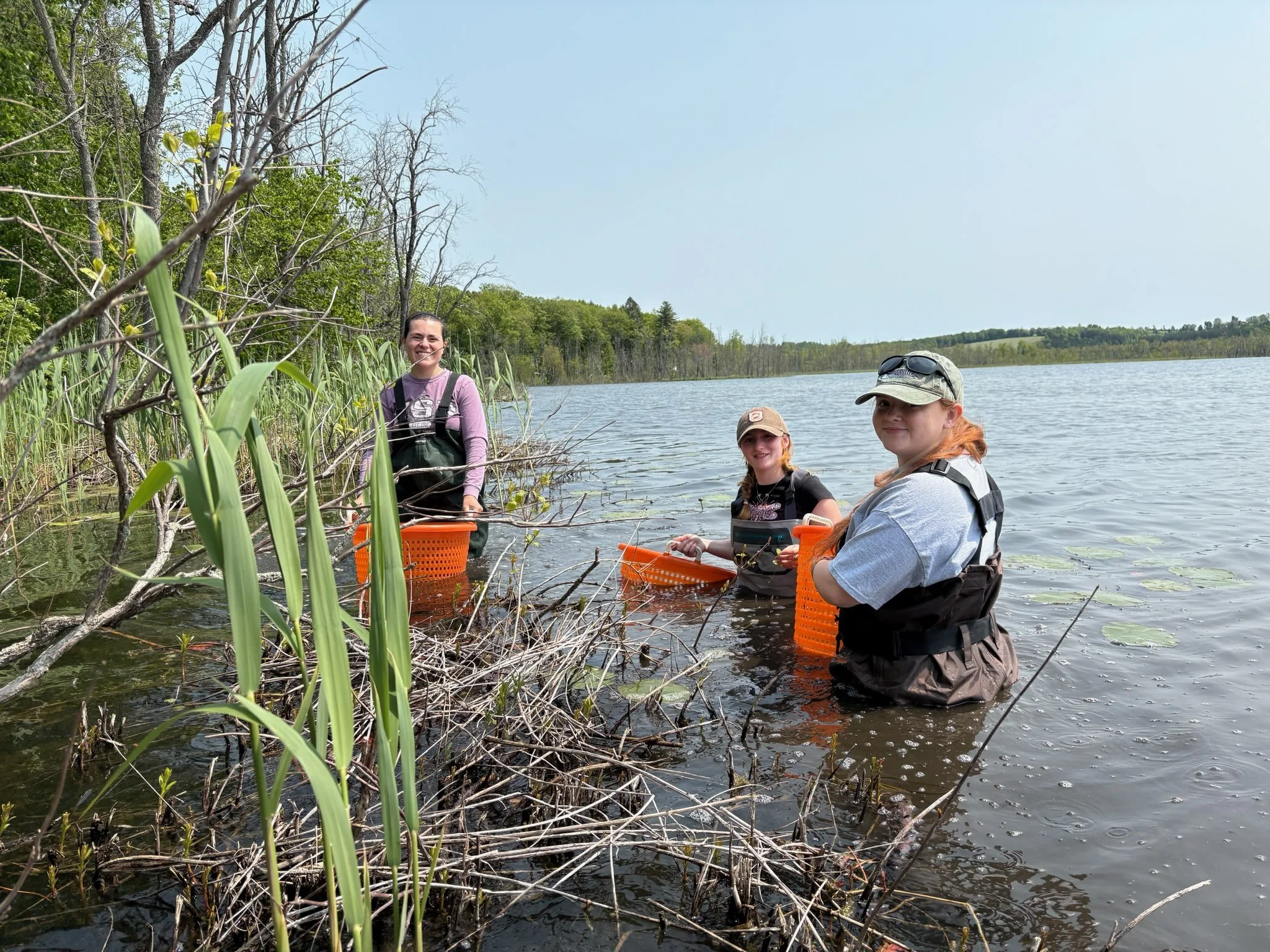 NYISAW Frogbit Pull with OCCA and CR-PRISM
