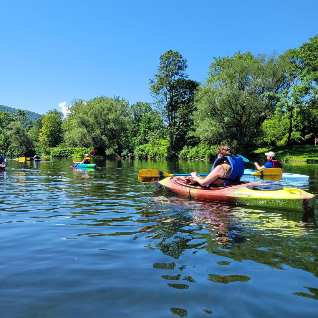 iSPY Invasive Species Paddle with OCCA