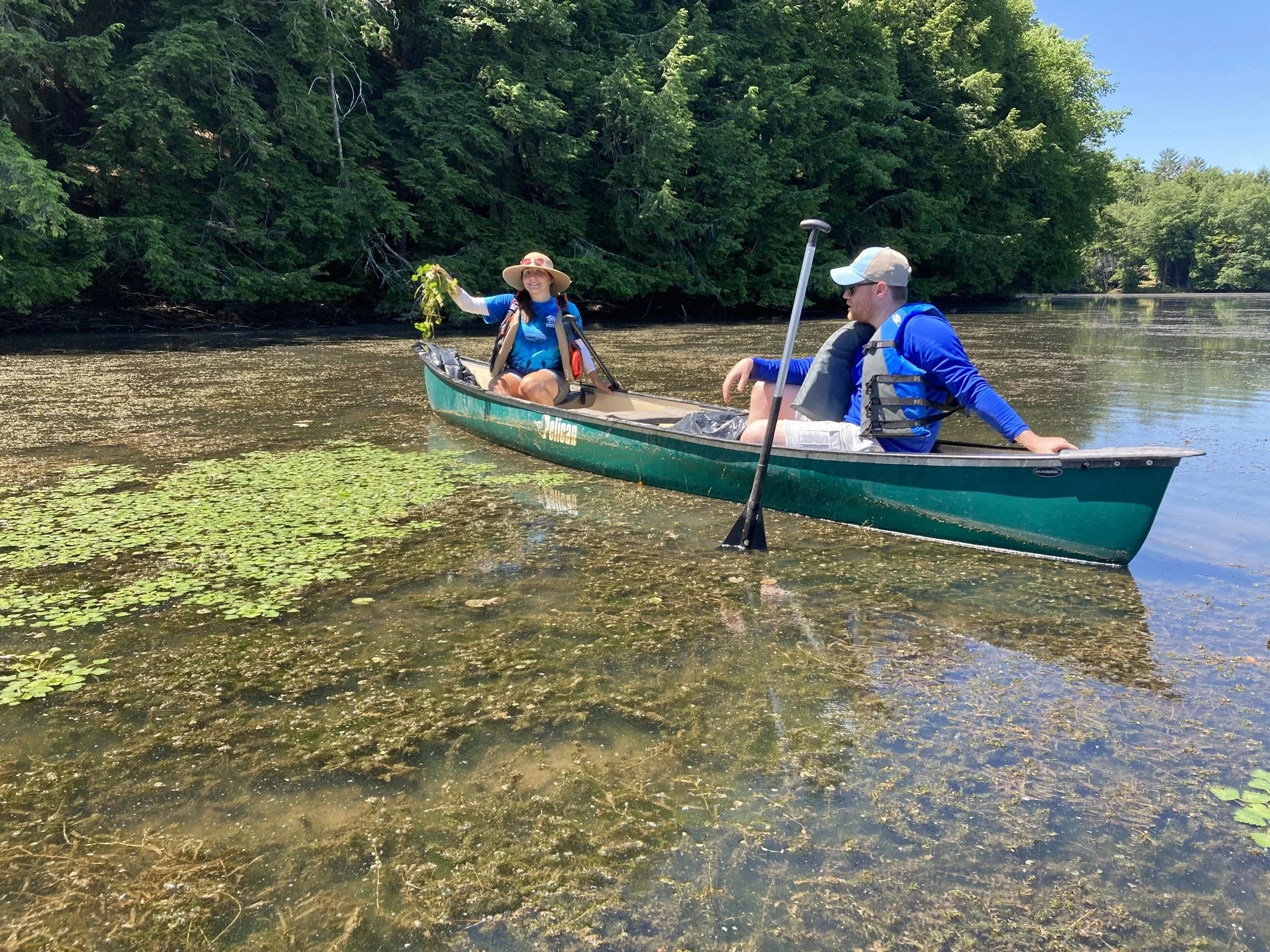 Canadarago Water Chestnut Paddle and Pull