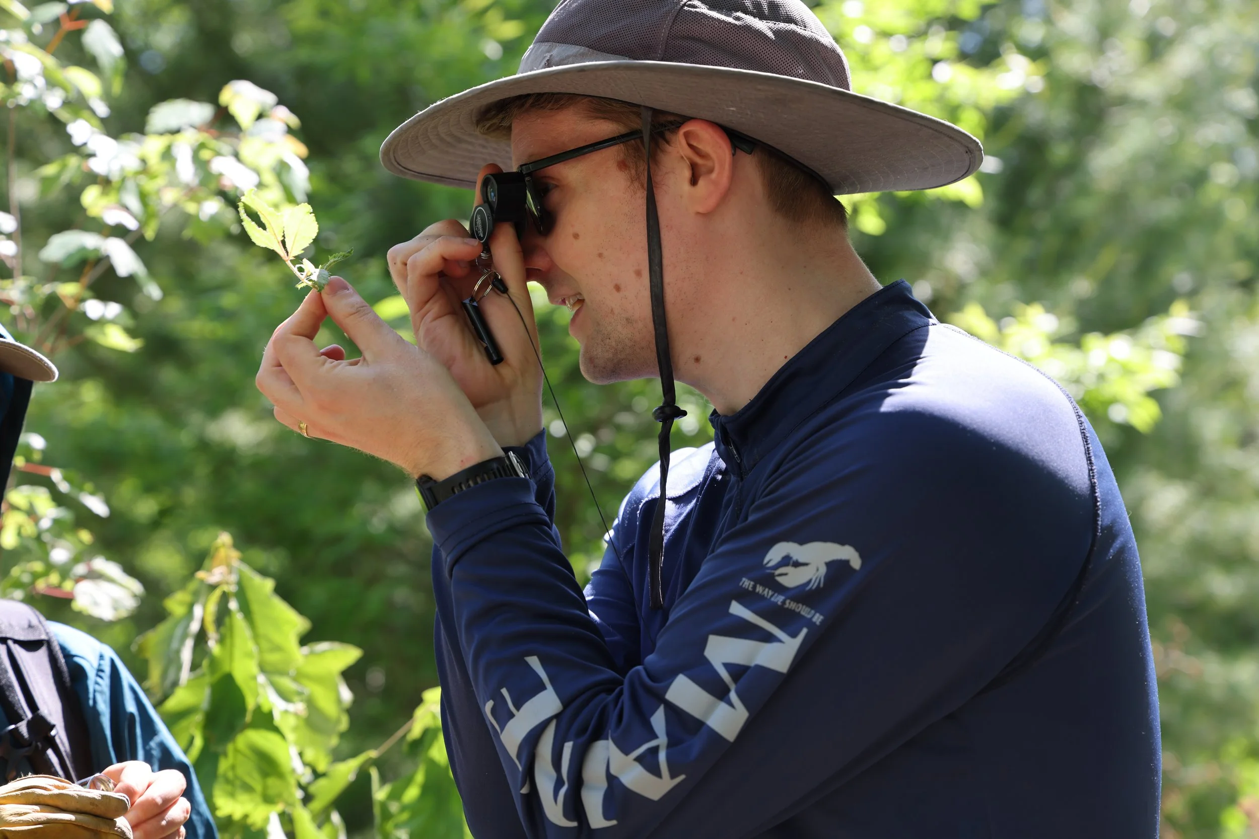 Native Plants of Callicoon Riverside Park