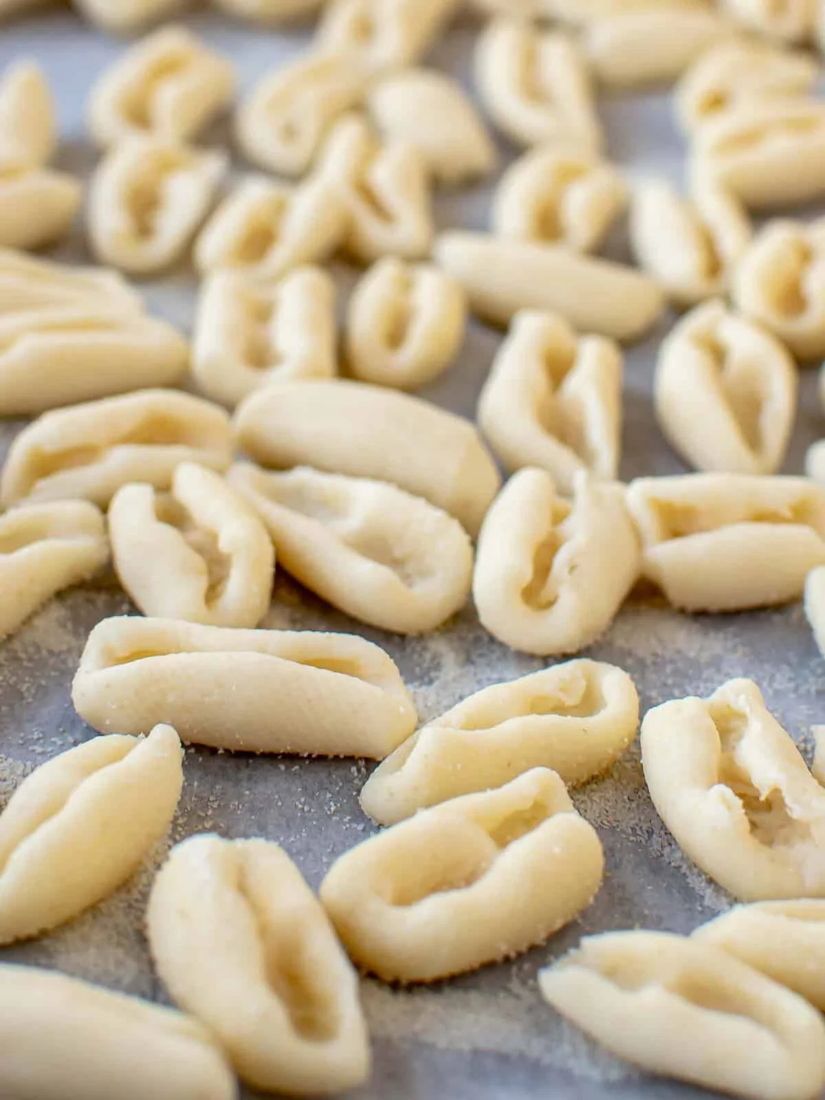 cavatelli.jpg