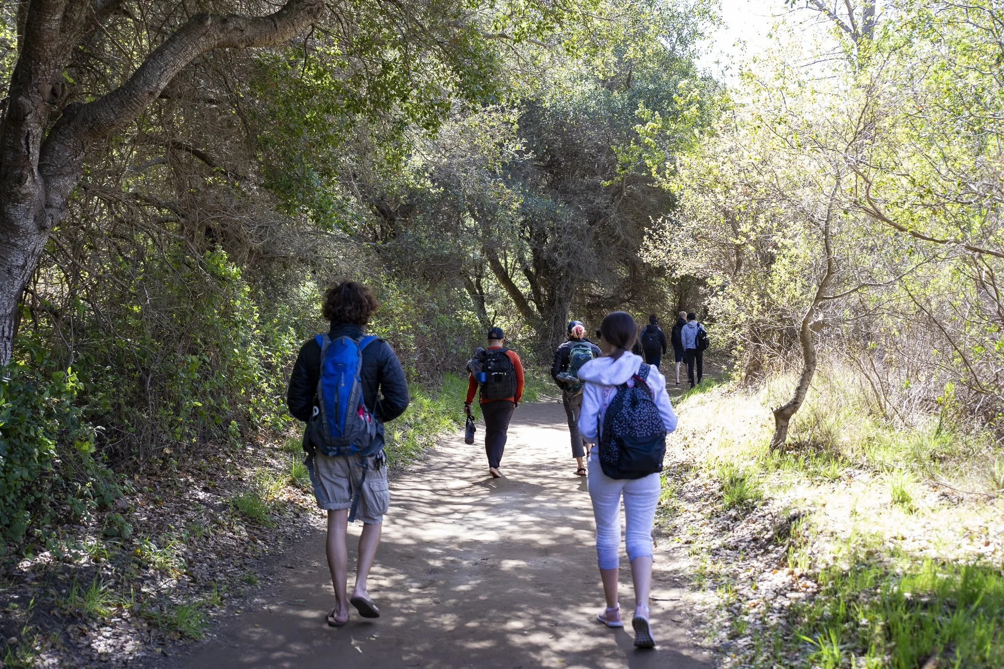 Spring break backpacking trips deals