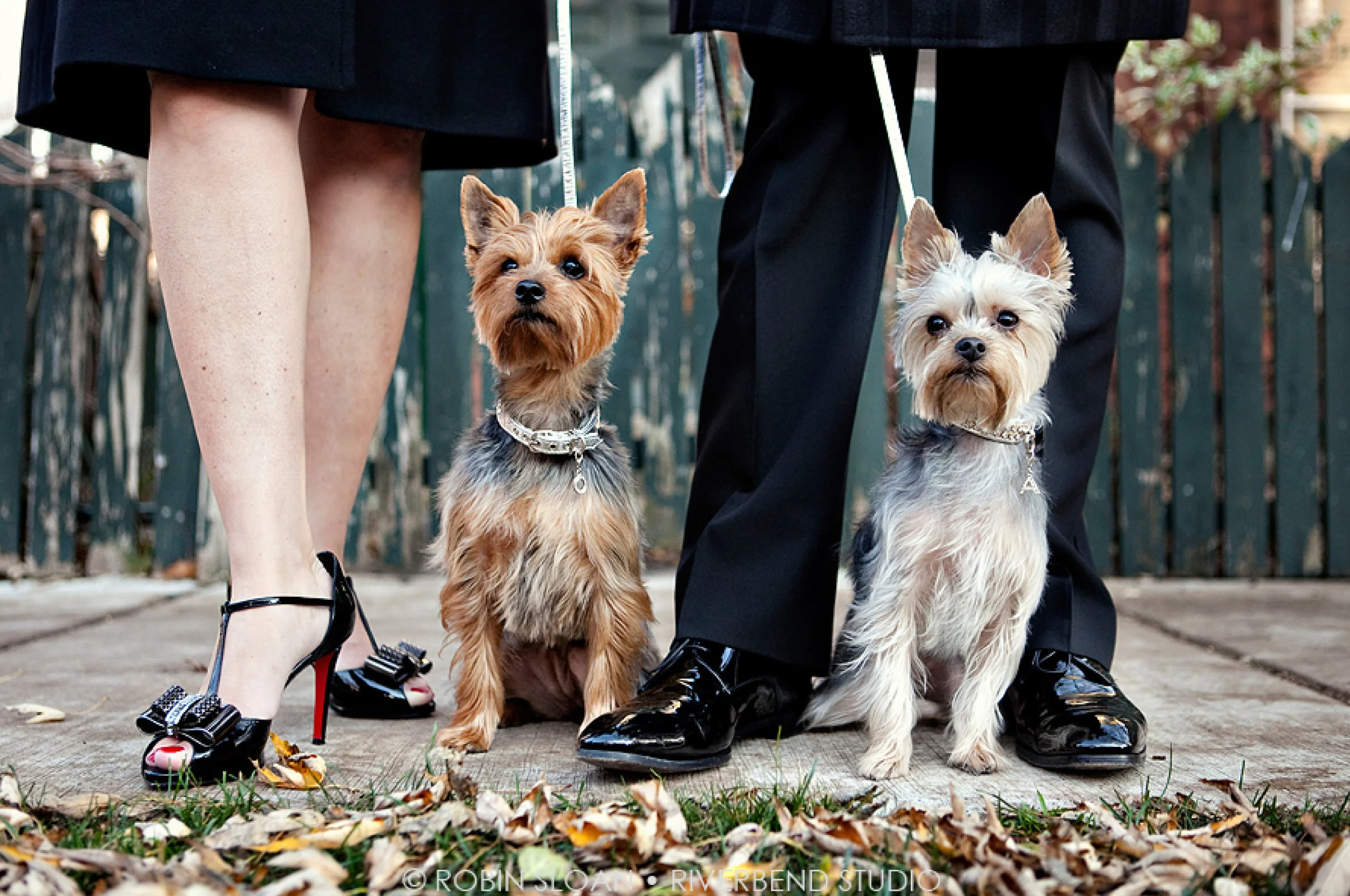 engagment photos 2.jpg