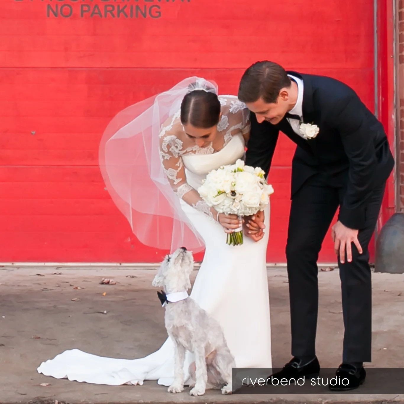 include your dog-05.jpg
