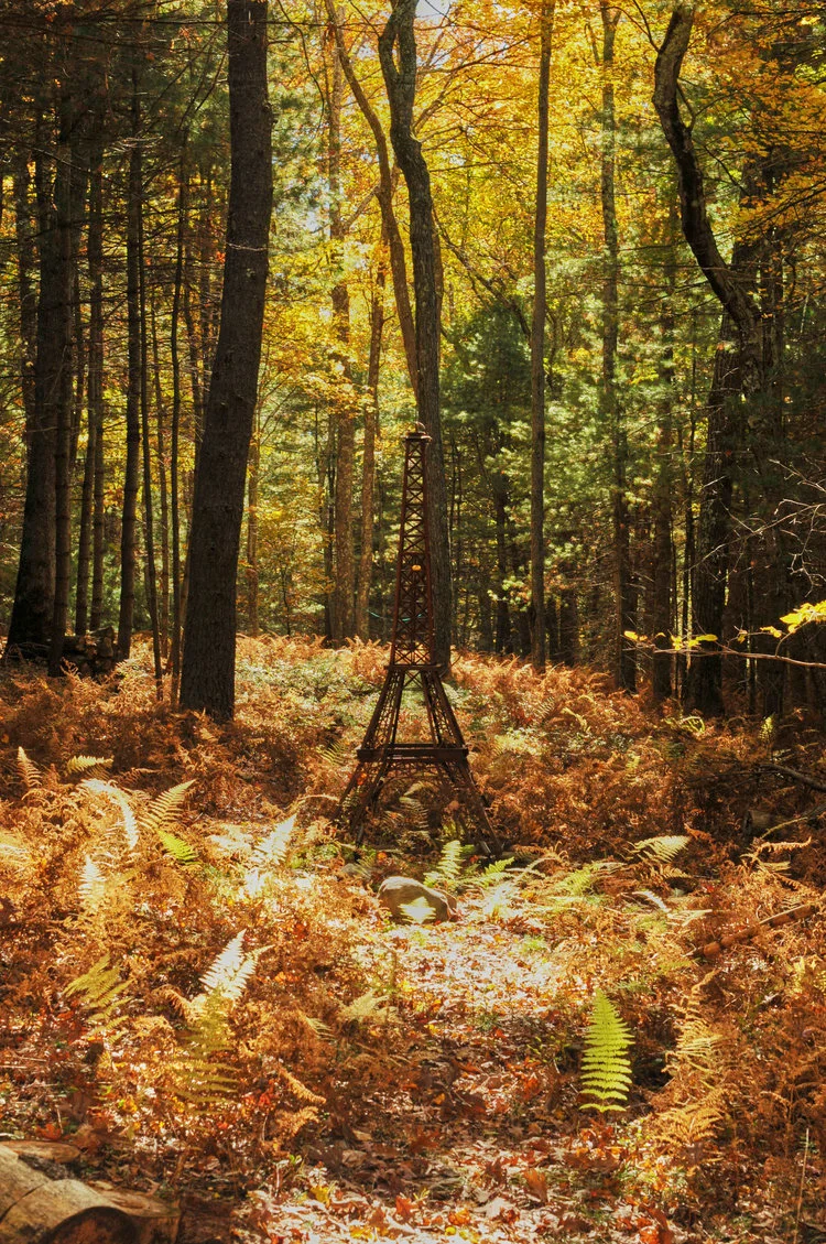 Benoist Drut 12.jpeg