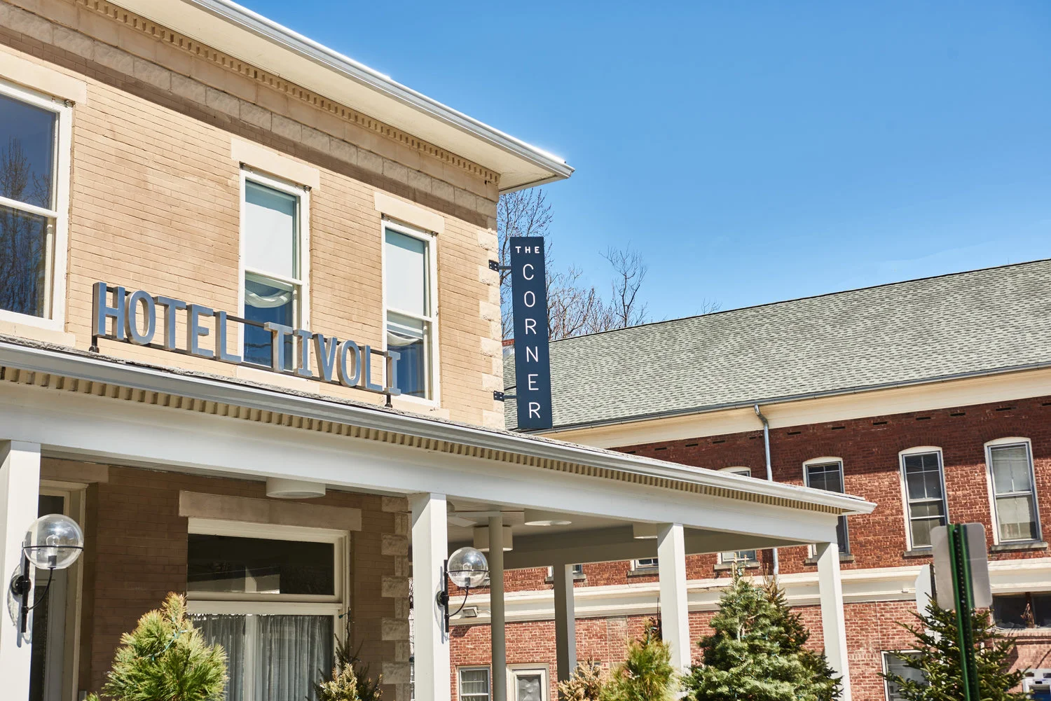 Brice Marden 15.jpeg