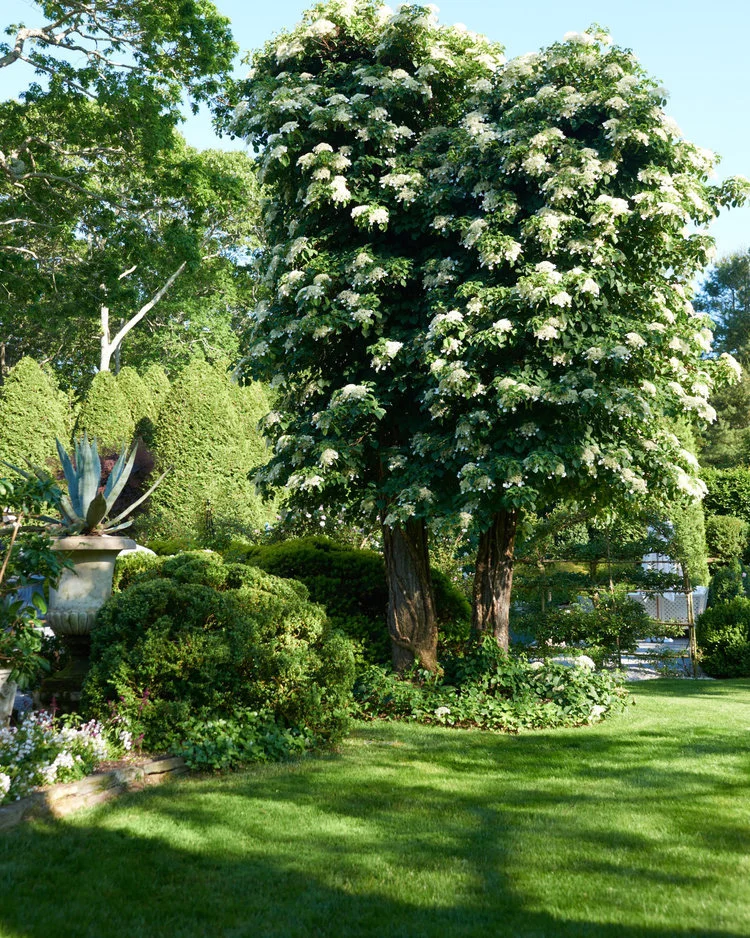 Charlotte Moss 2.jpeg