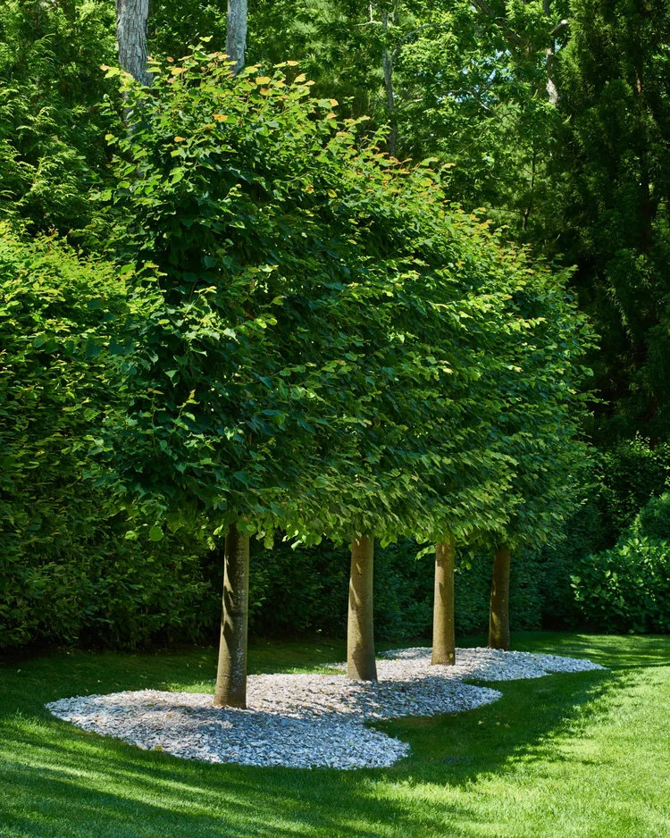 Charlotte Moss 4.jpeg