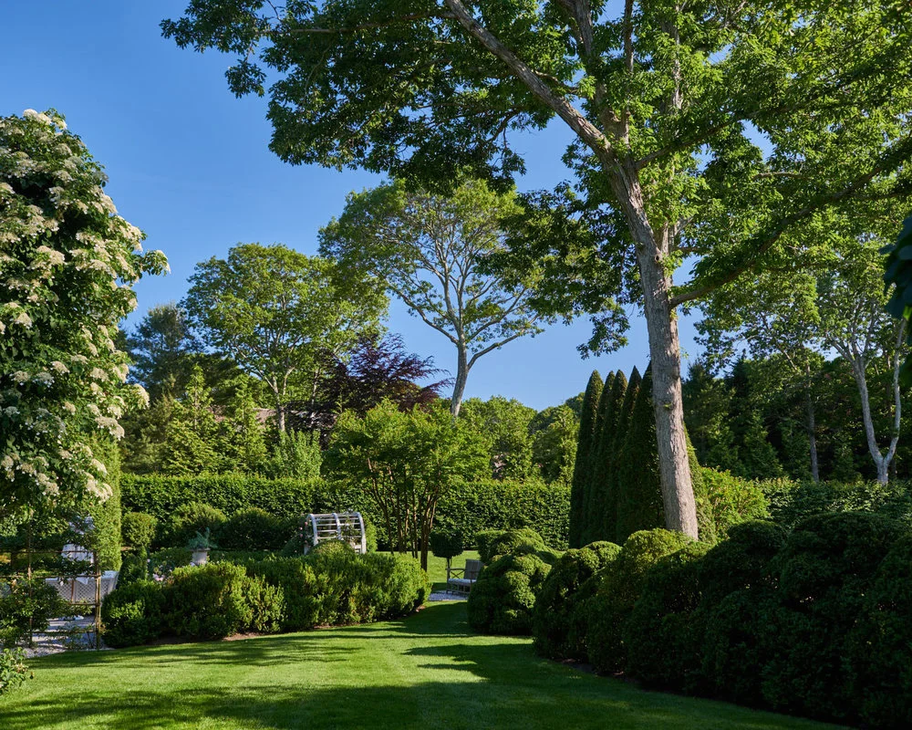 Charlotte Moss 6.jpeg