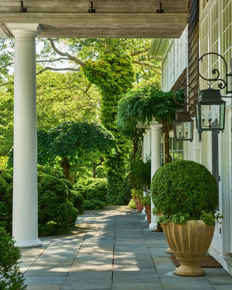 Charlotte Moss 7.jpeg