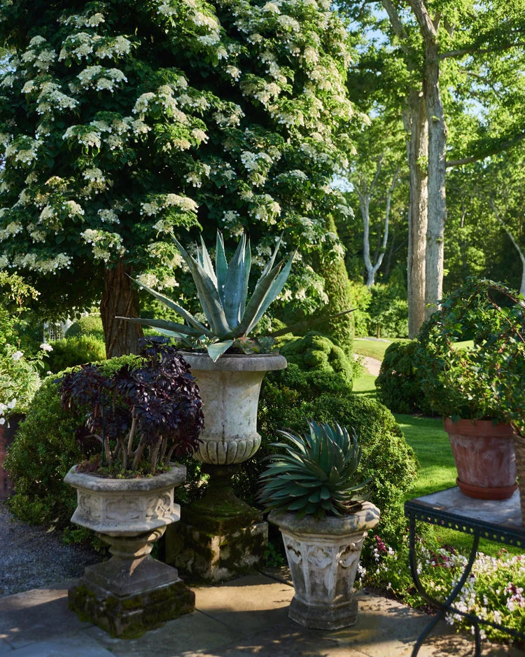 Charlotte Moss 14.jpeg